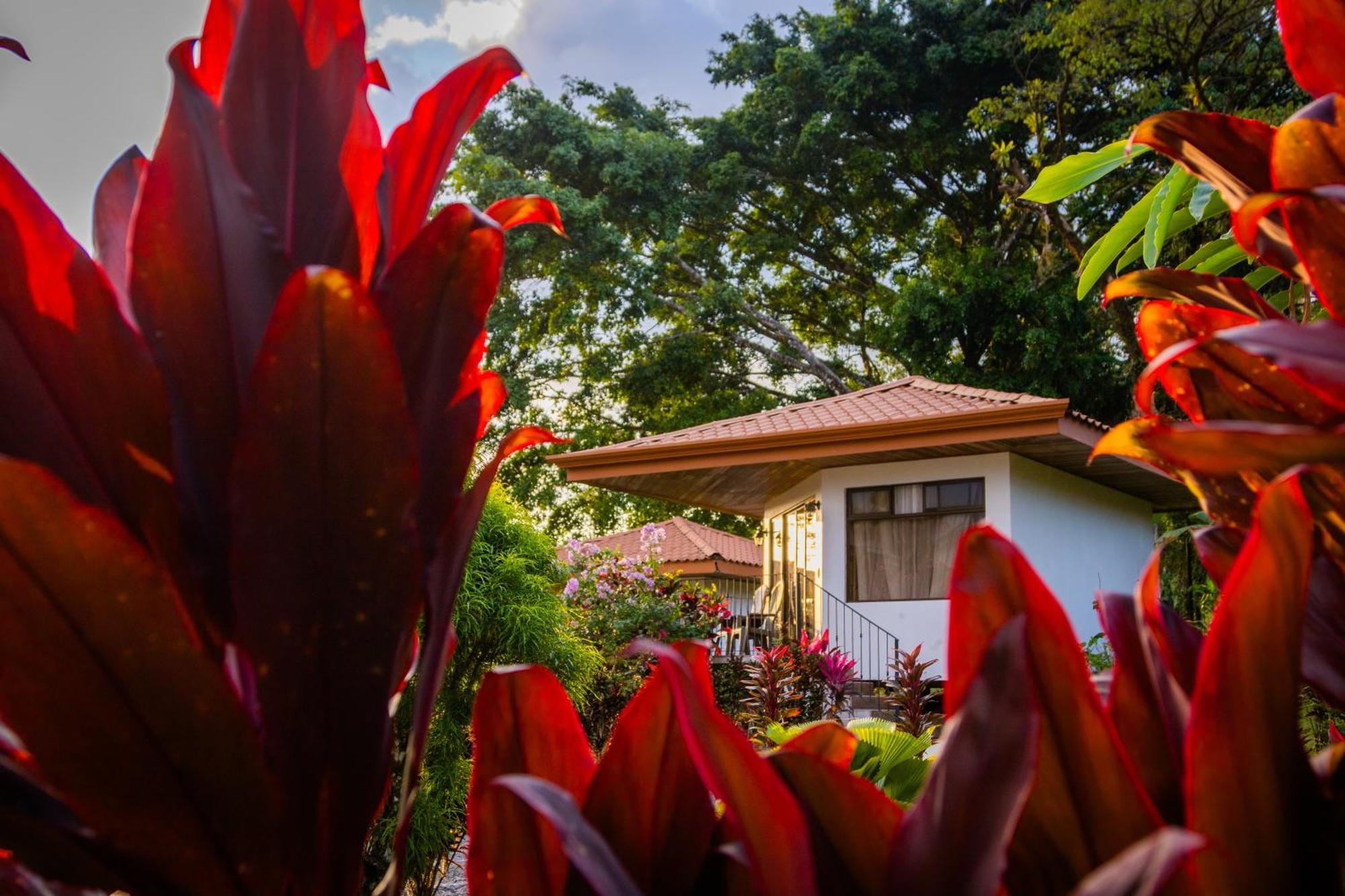 Hotel Miradas Arenal & Hotsprings La Fortuna