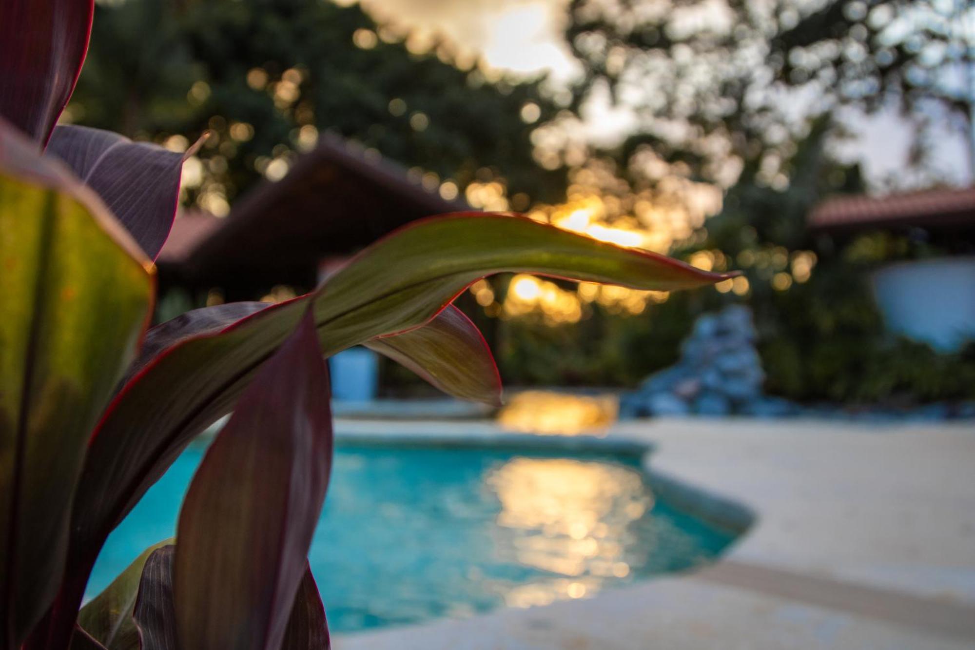Miradas Arenal & Hotsprings Hotel 3*