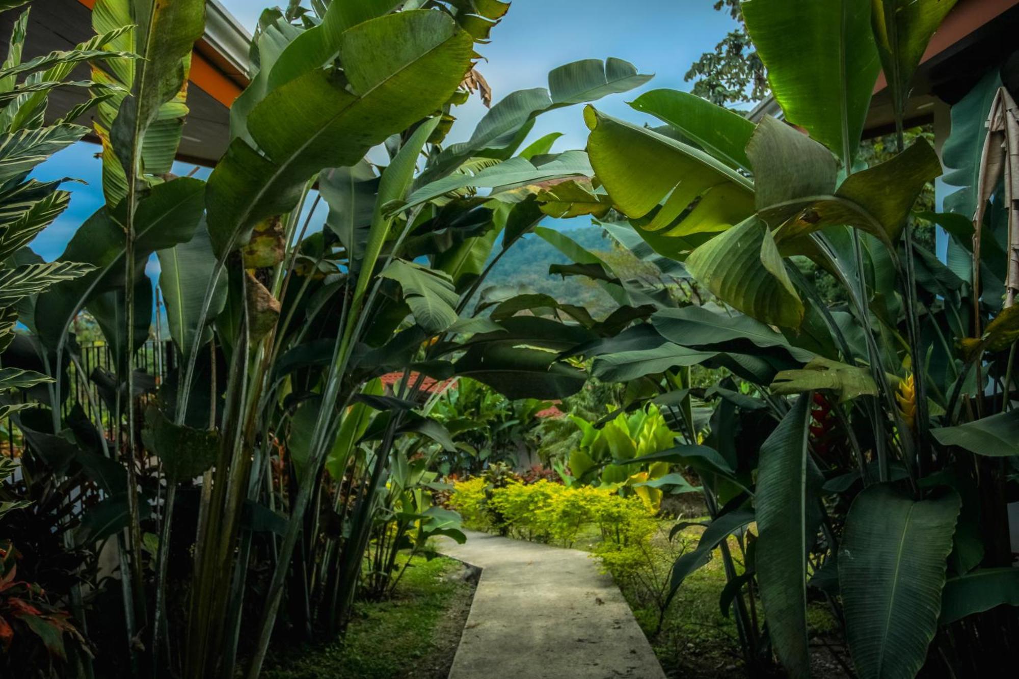 Hotel Miradas Arenal & Hotsprings