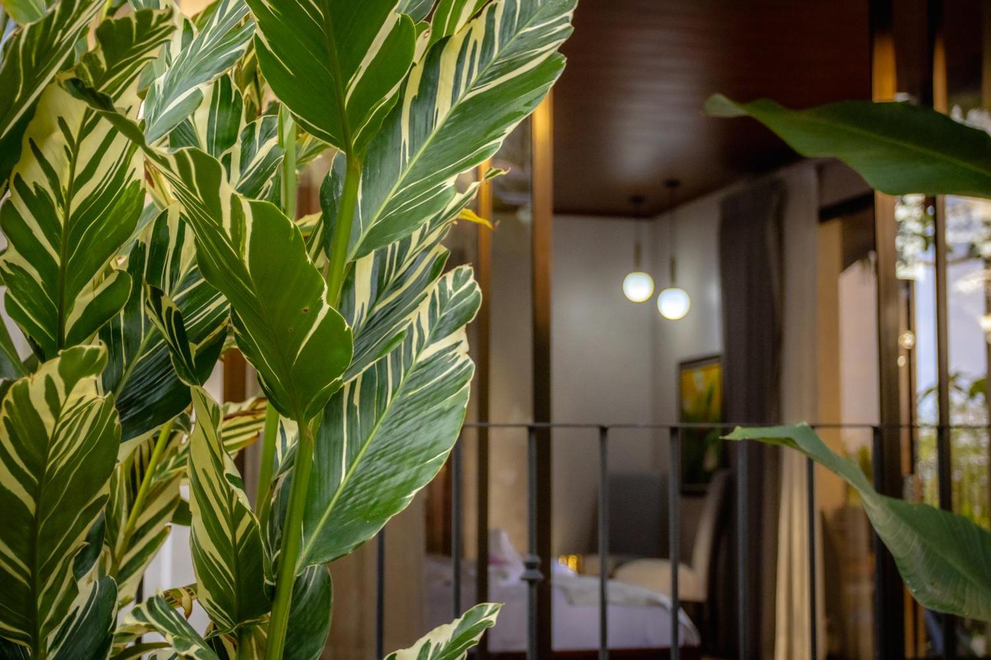 Miradas Arenal & Hotsprings Hotel