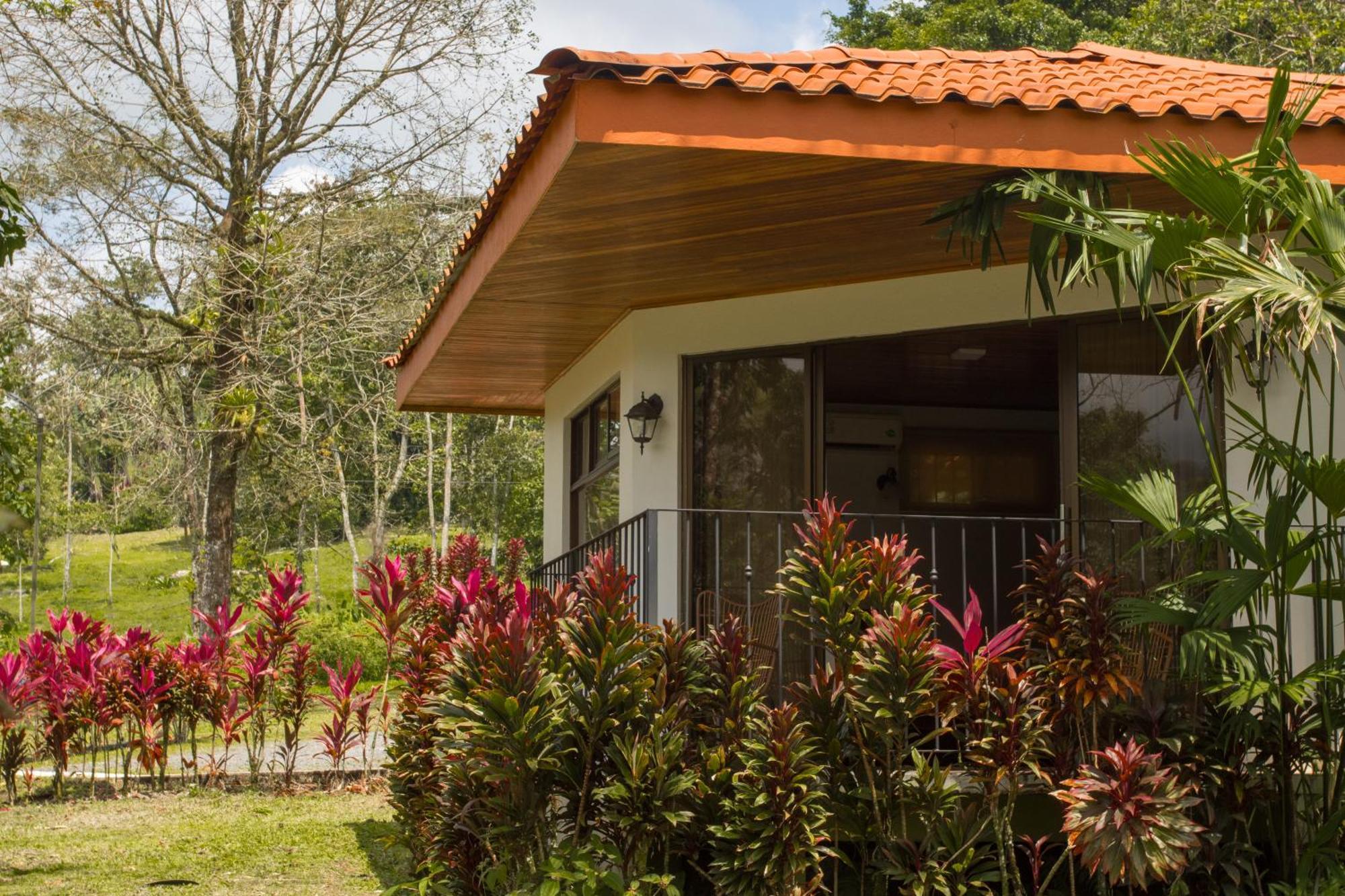 Miradas Arenal & Hotsprings
