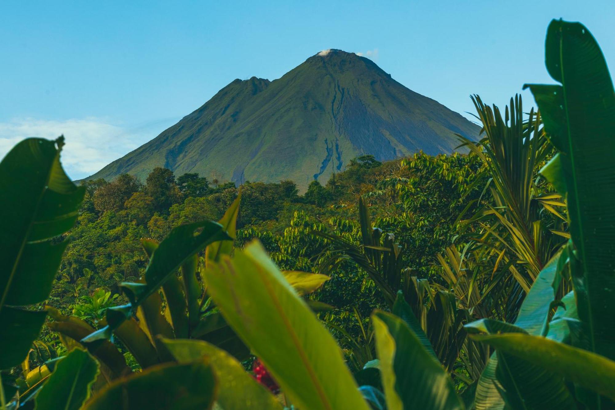 Arenal Adults Friendly Hotel 5*