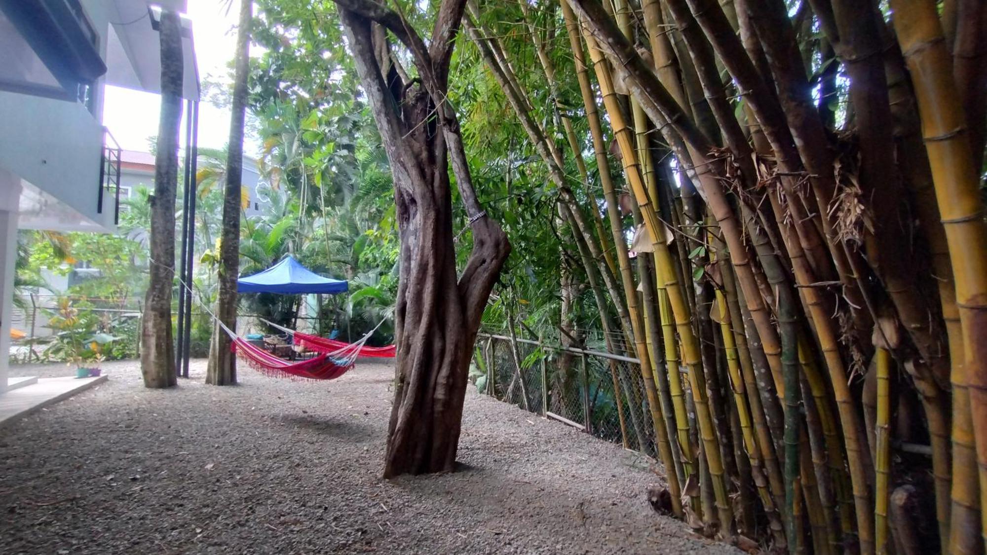 Hostel Casajungla *