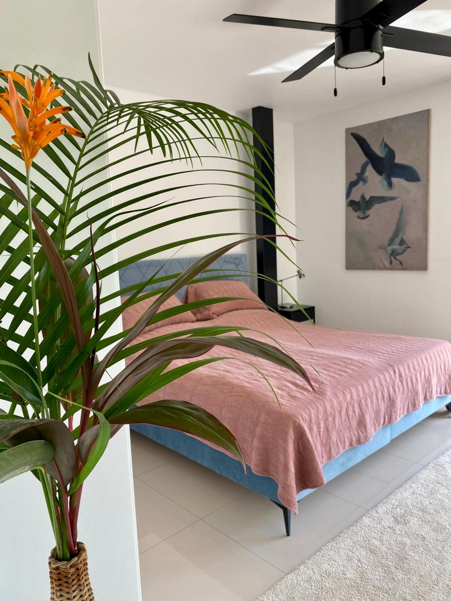 Casa Marieli Apartment *