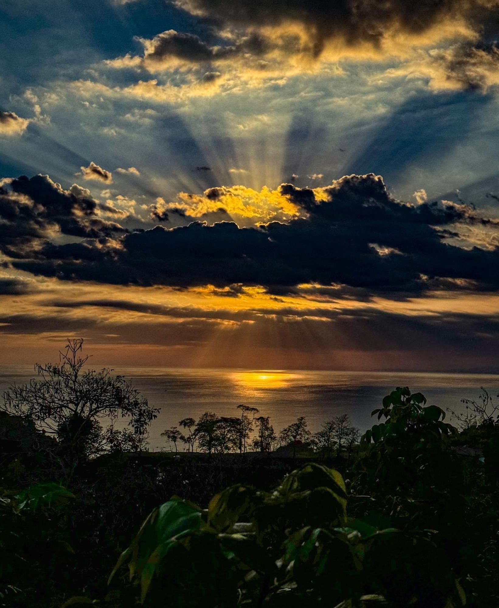 Lodge Pura Natura Manuel Antonio