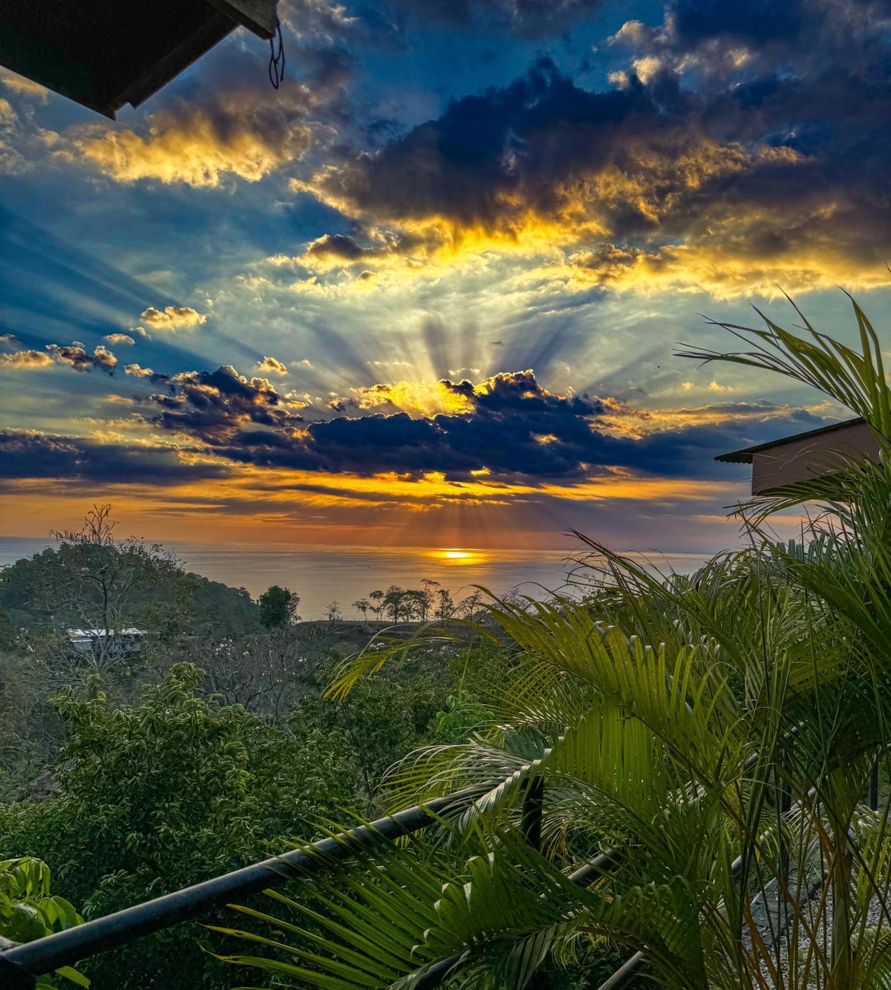 Pura Natura Lodge Manuel Antonio