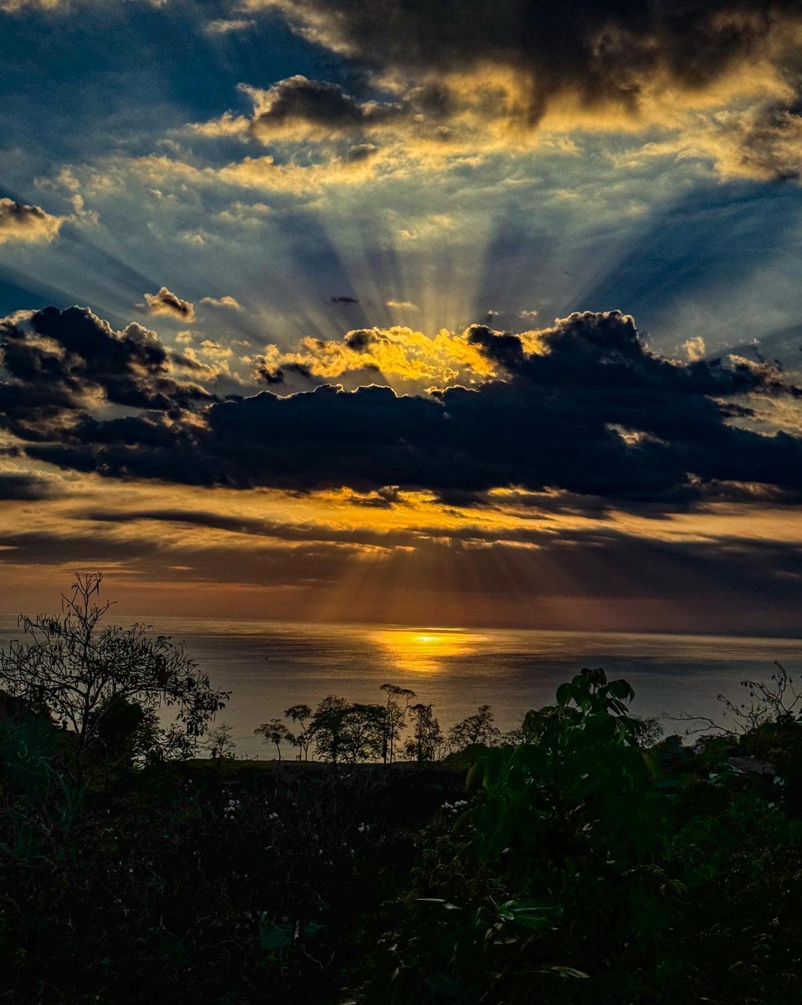 Pura Natura Manuel Antonio