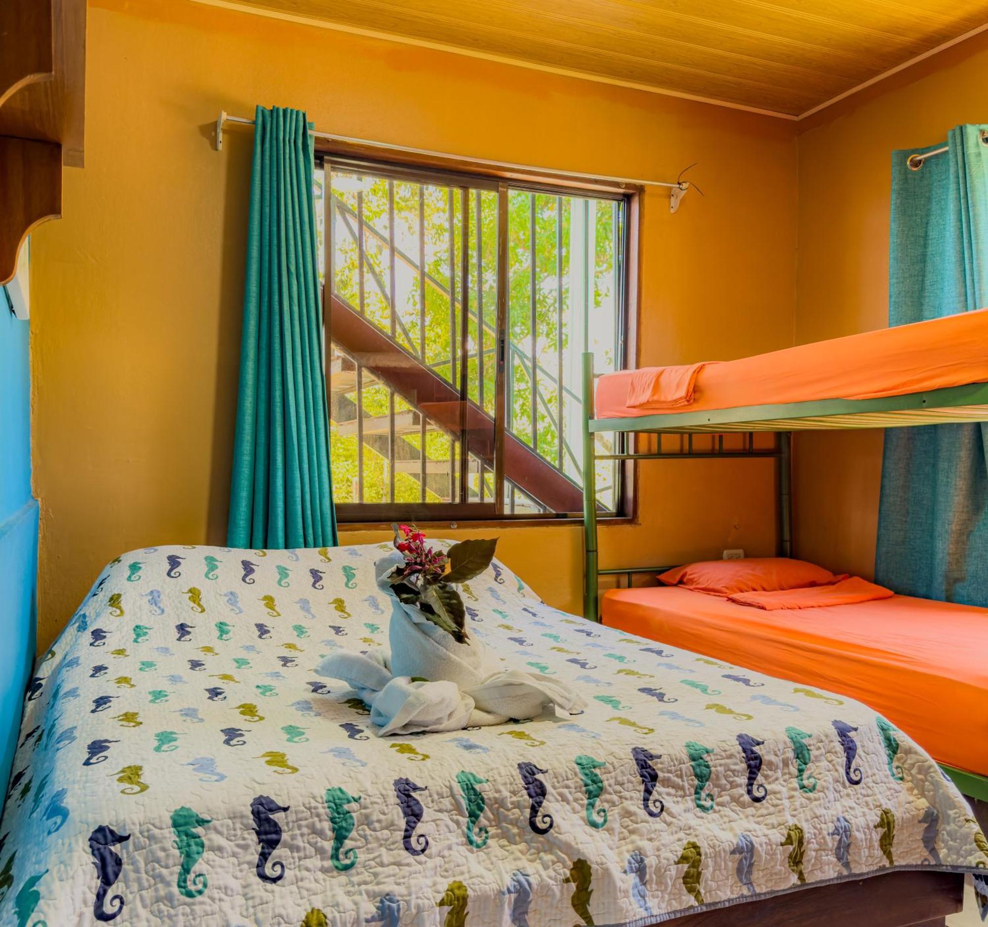 Pura Natura Lodge *