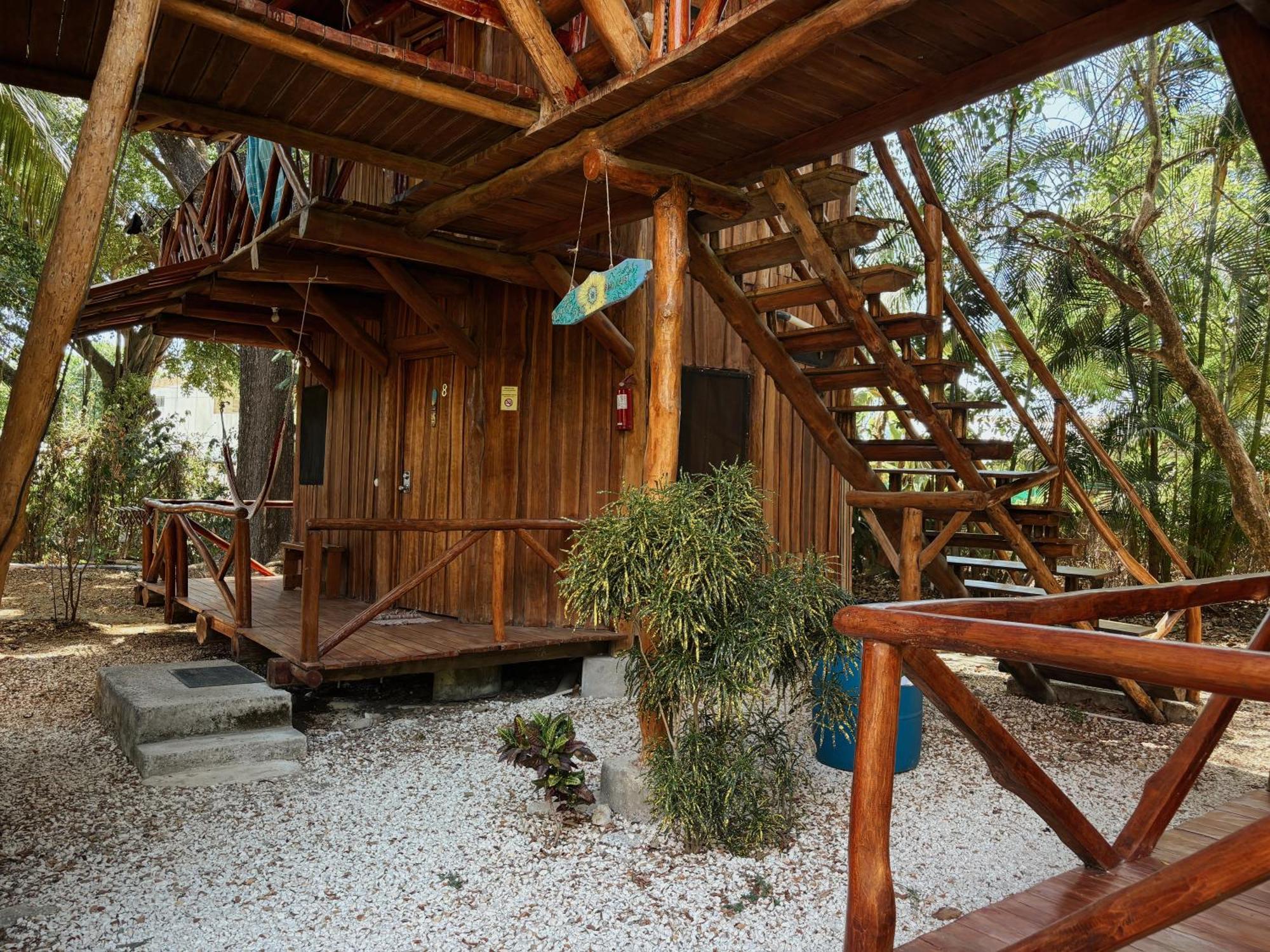 Don Jon's Surf And Yoga