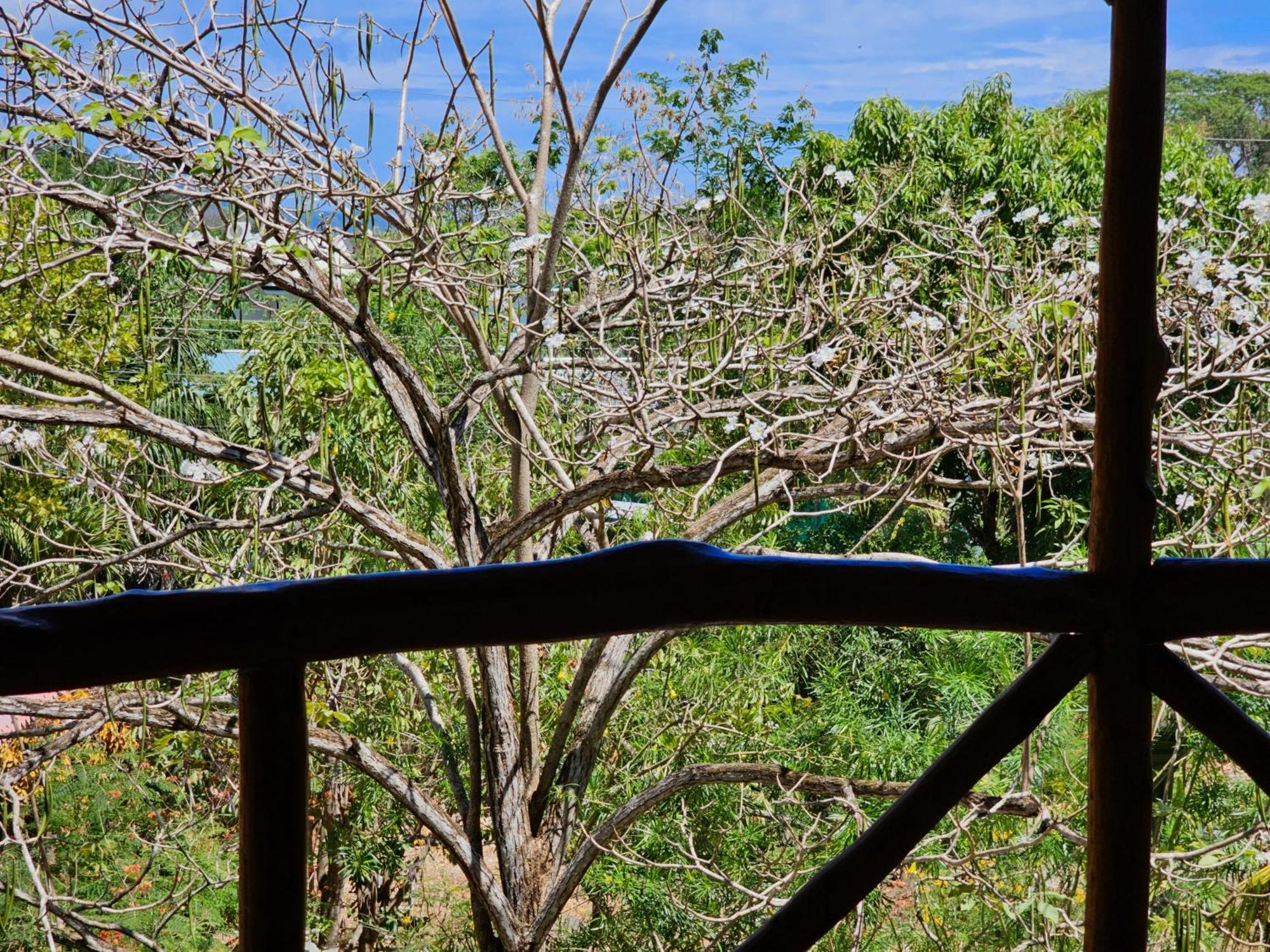 Don Jon's Surf And Yoga Playa Santa Teresa (Puntarenas)