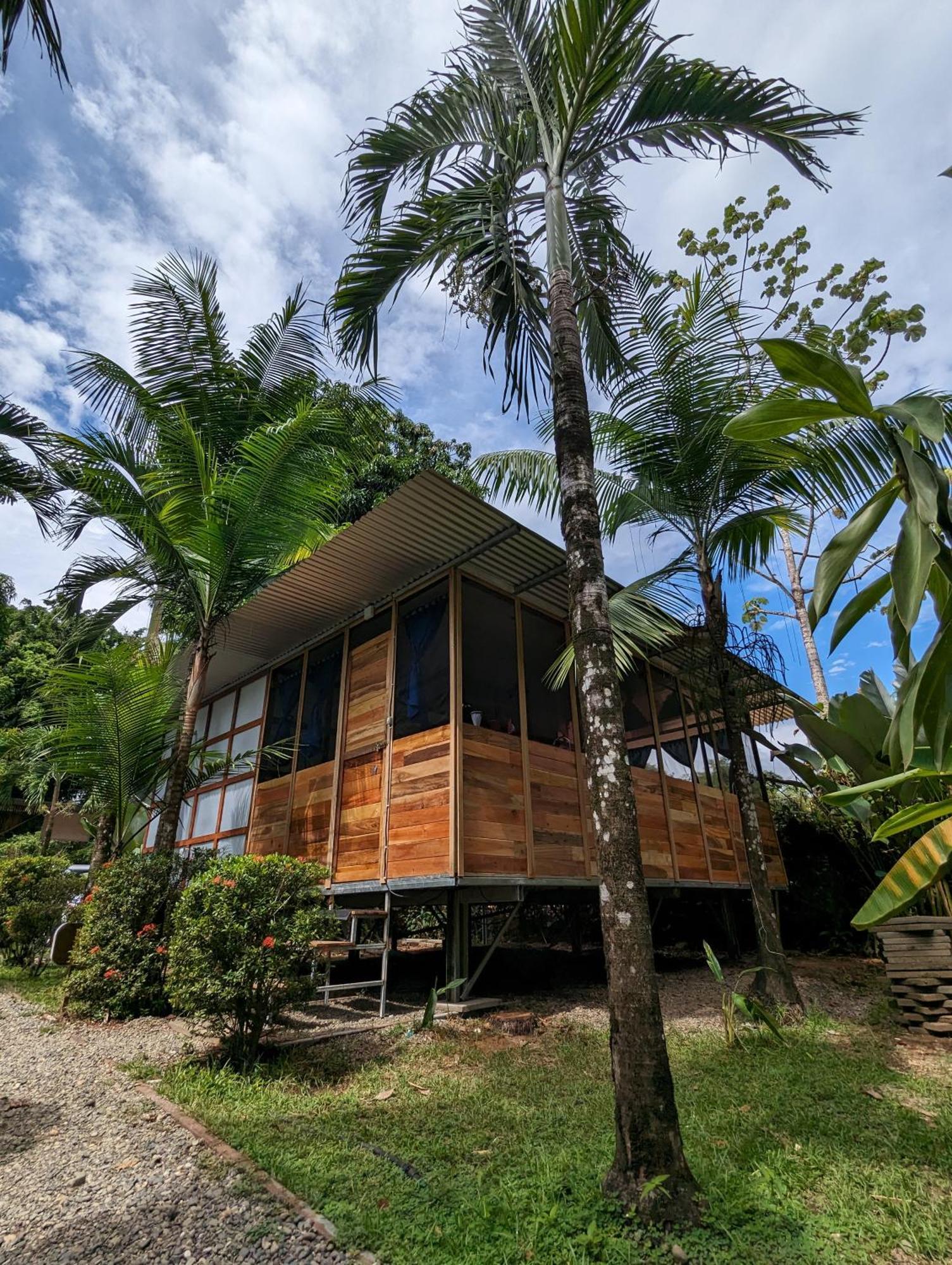 Arboura Eco Lodge *
