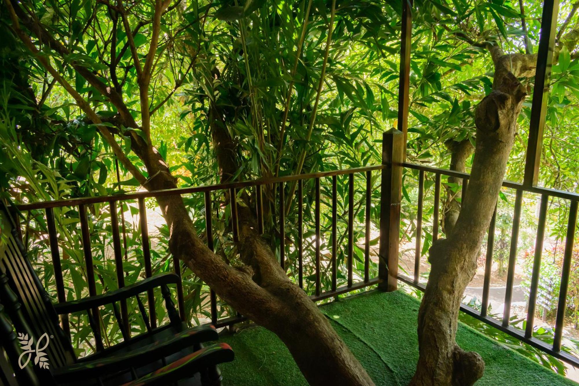 Hotel Heliconias Nature & Hot Springs