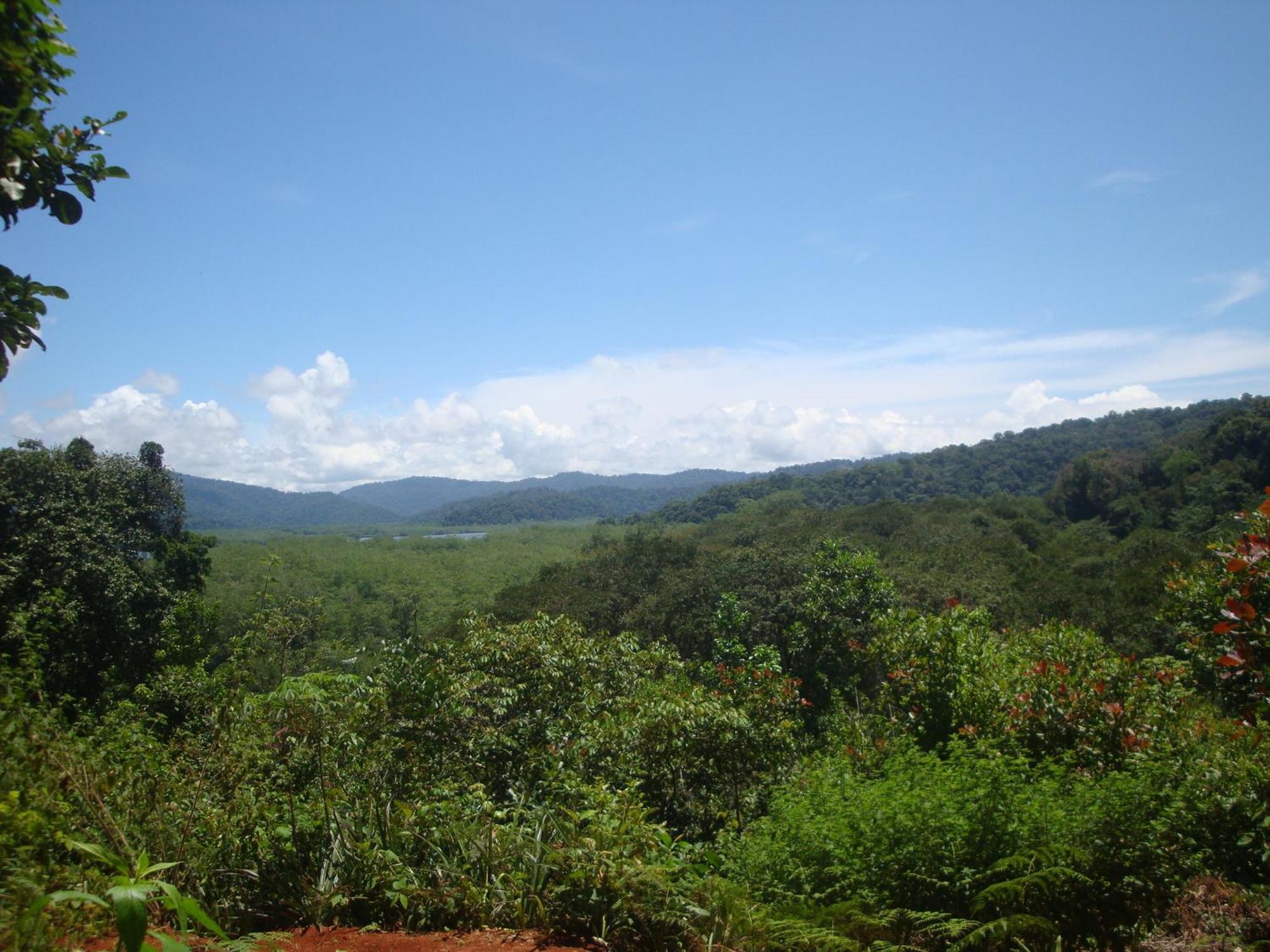 Isla Violin Eco-lodge Lodge *