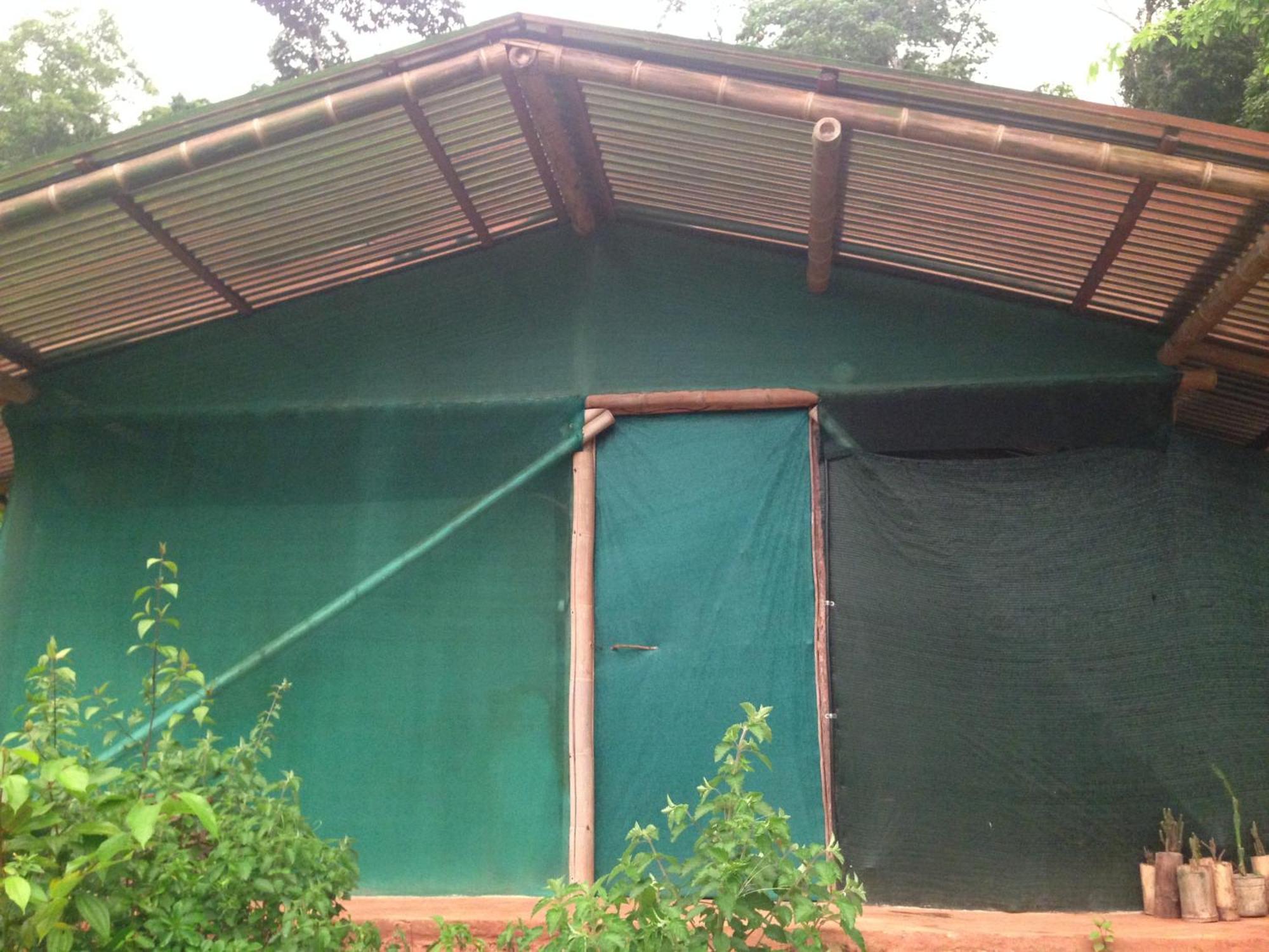 Isla Violin Eco-lodge