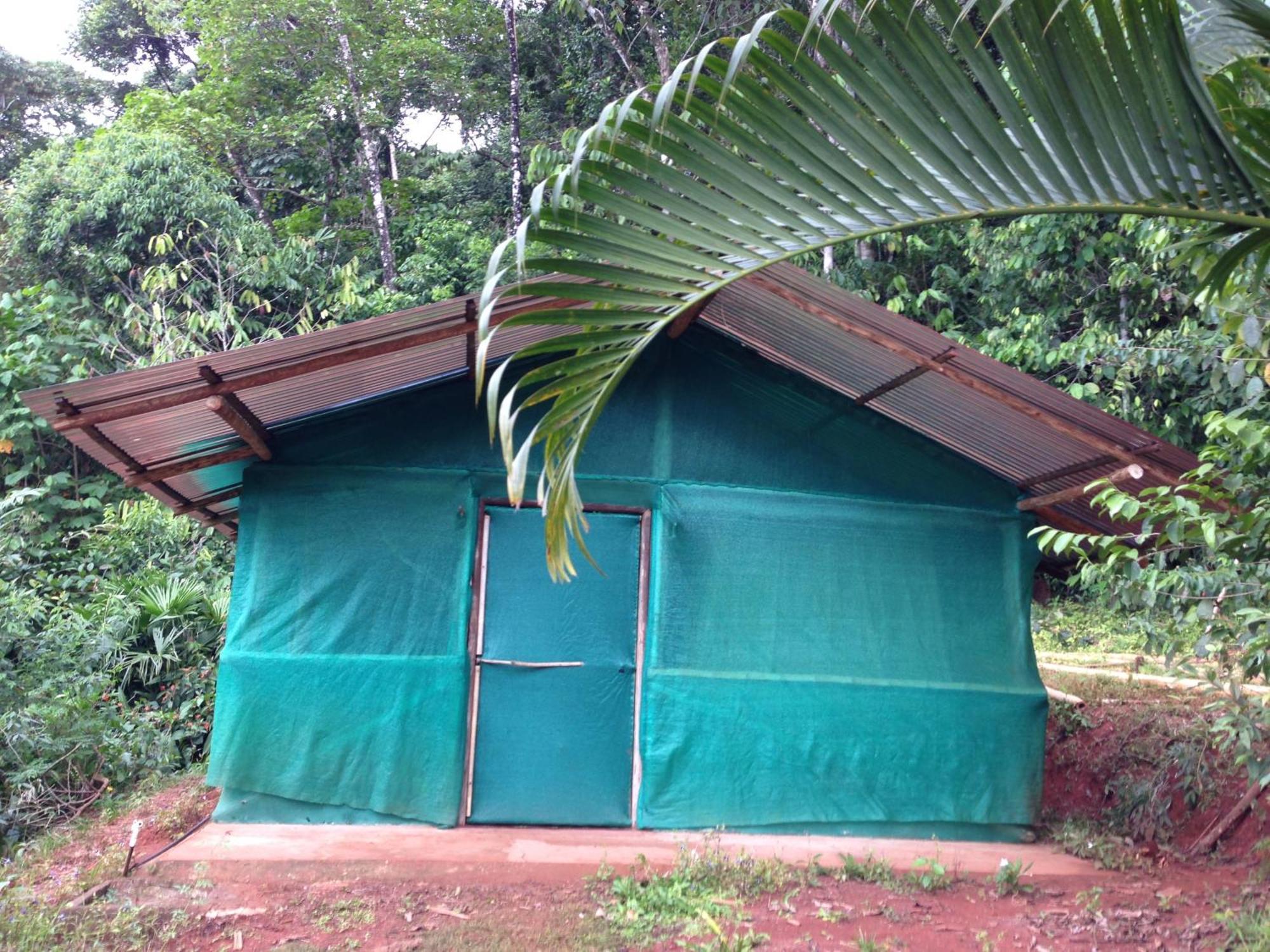 Isla Violin Eco-lodge