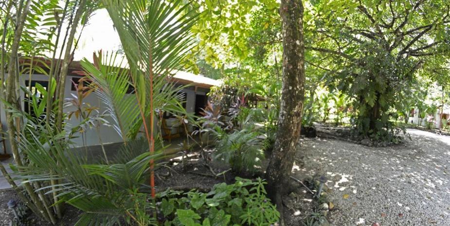 Indigo Yoga Surf Hotel 2*