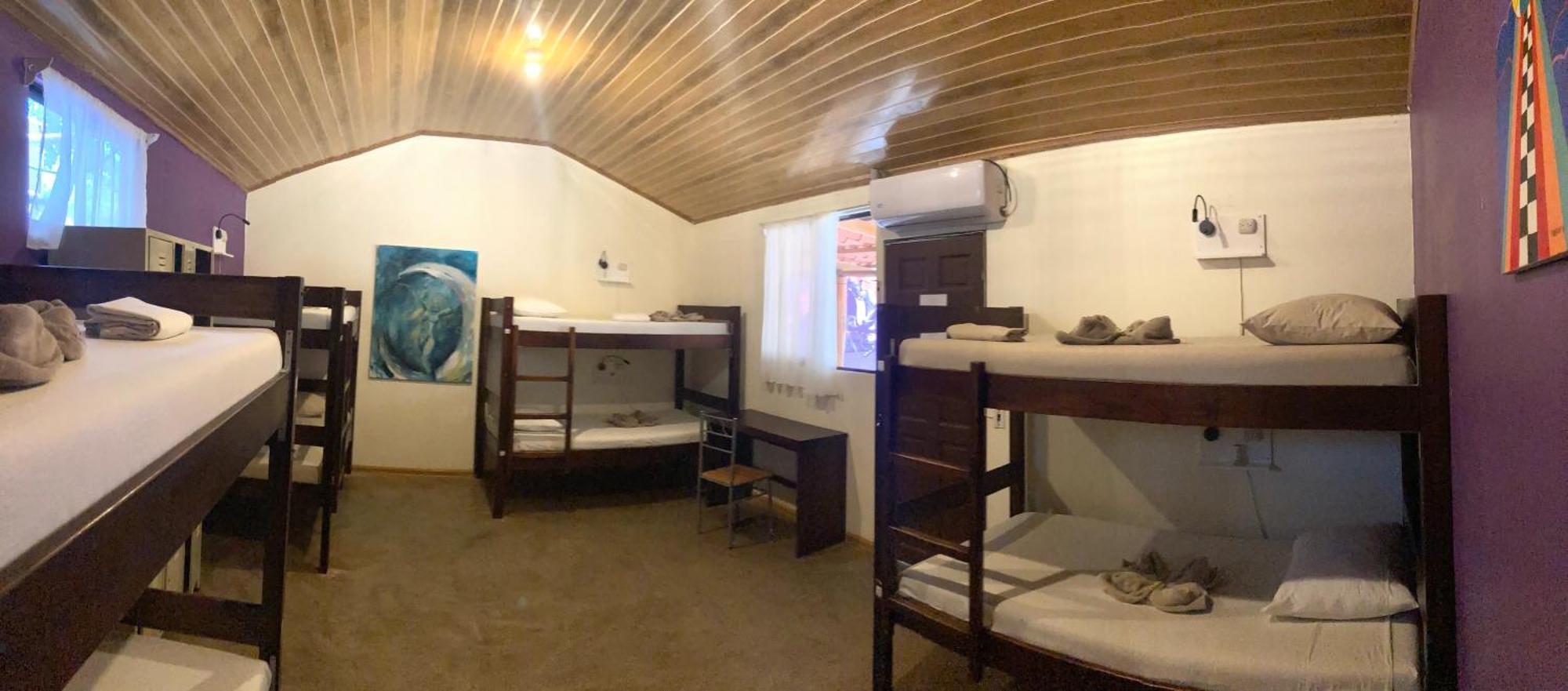 Tamahostel & Glamping