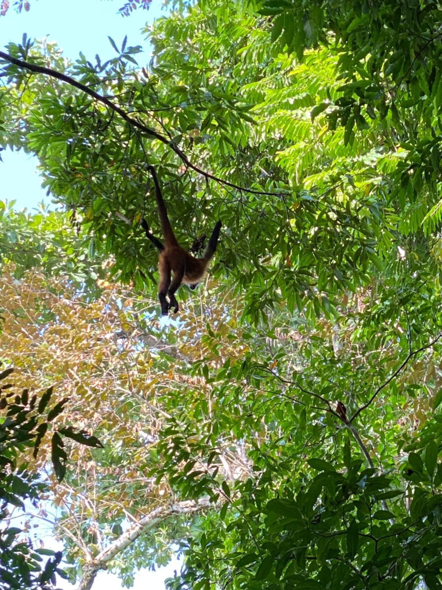 Holiday home Casita Corcovado