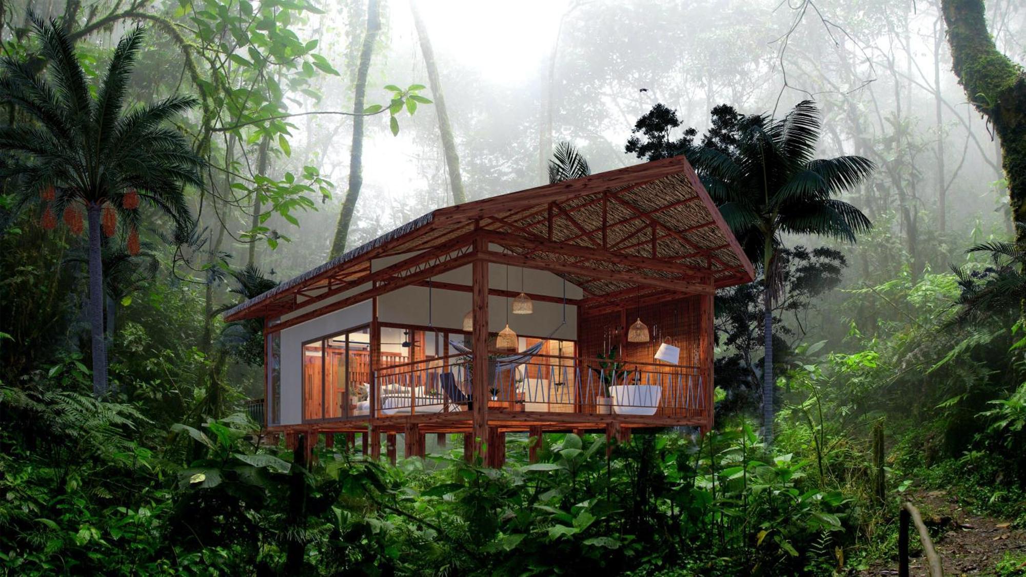 Corcovado Wilderness By Scp