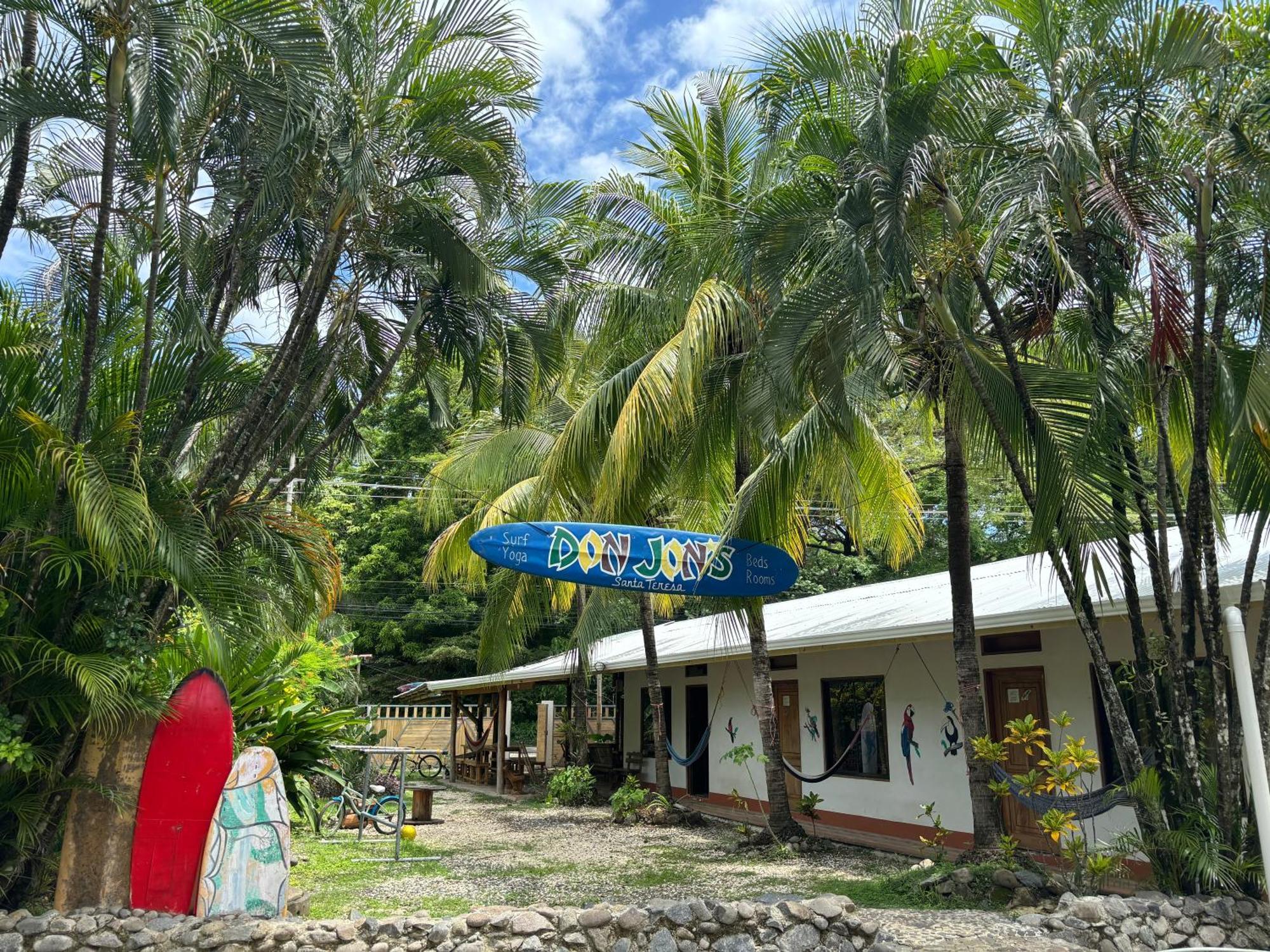 Don Jon's Surf And Yoga *