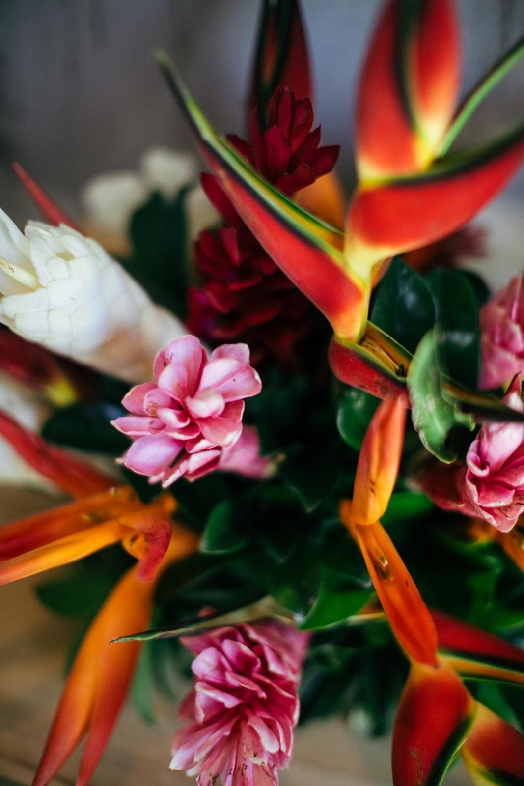 Hotel Mother Earth Luxury Boutique Hotel, Restaurant & (adults Only) *
