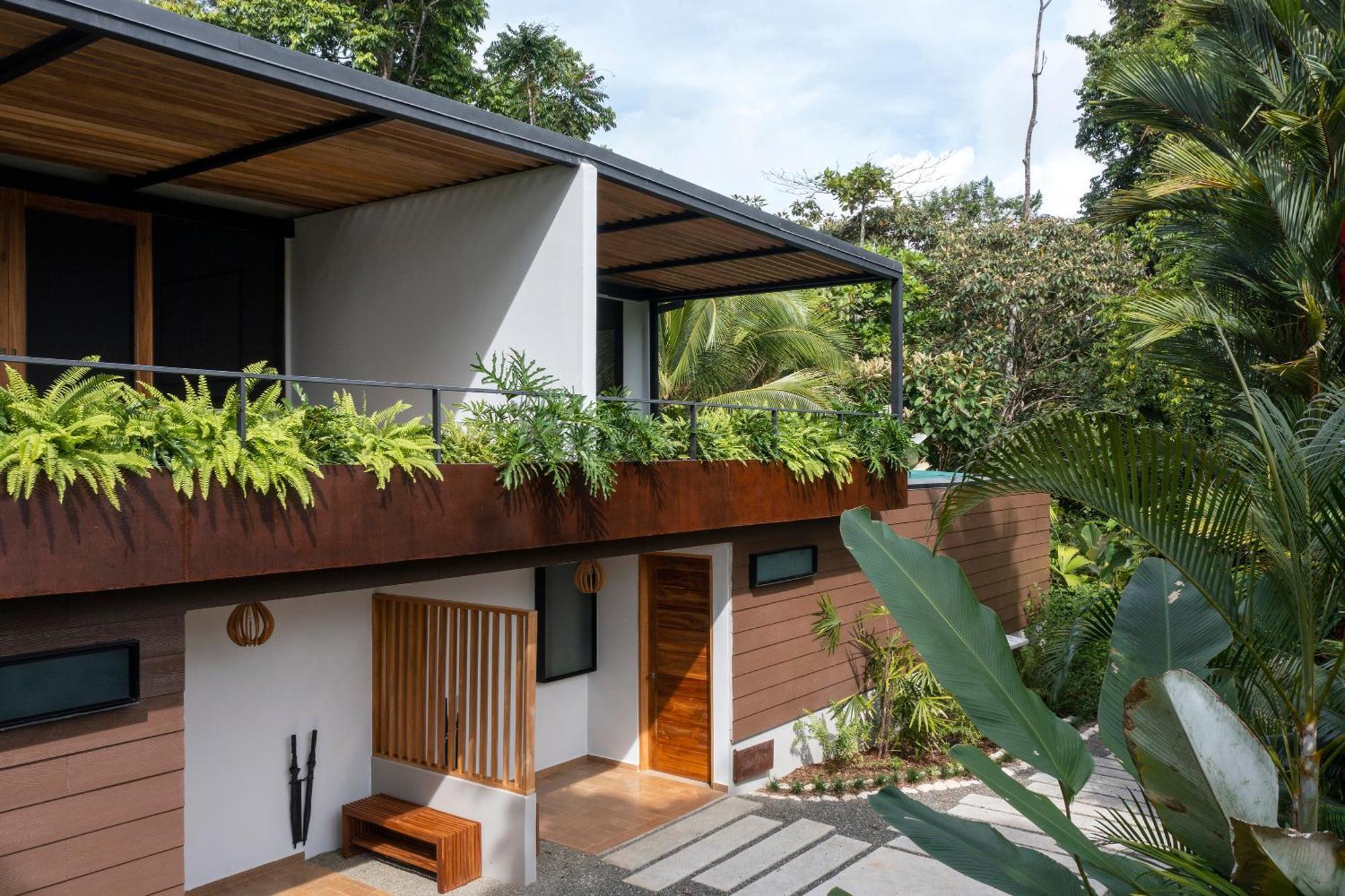 Lodge El Remanso Rainforest Puerto Jimenez