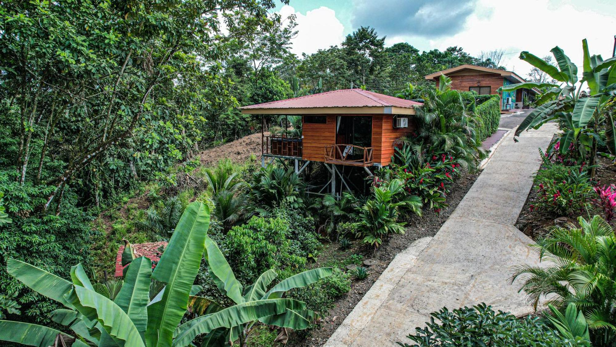 Iguanas Arenal Volcano Hotel