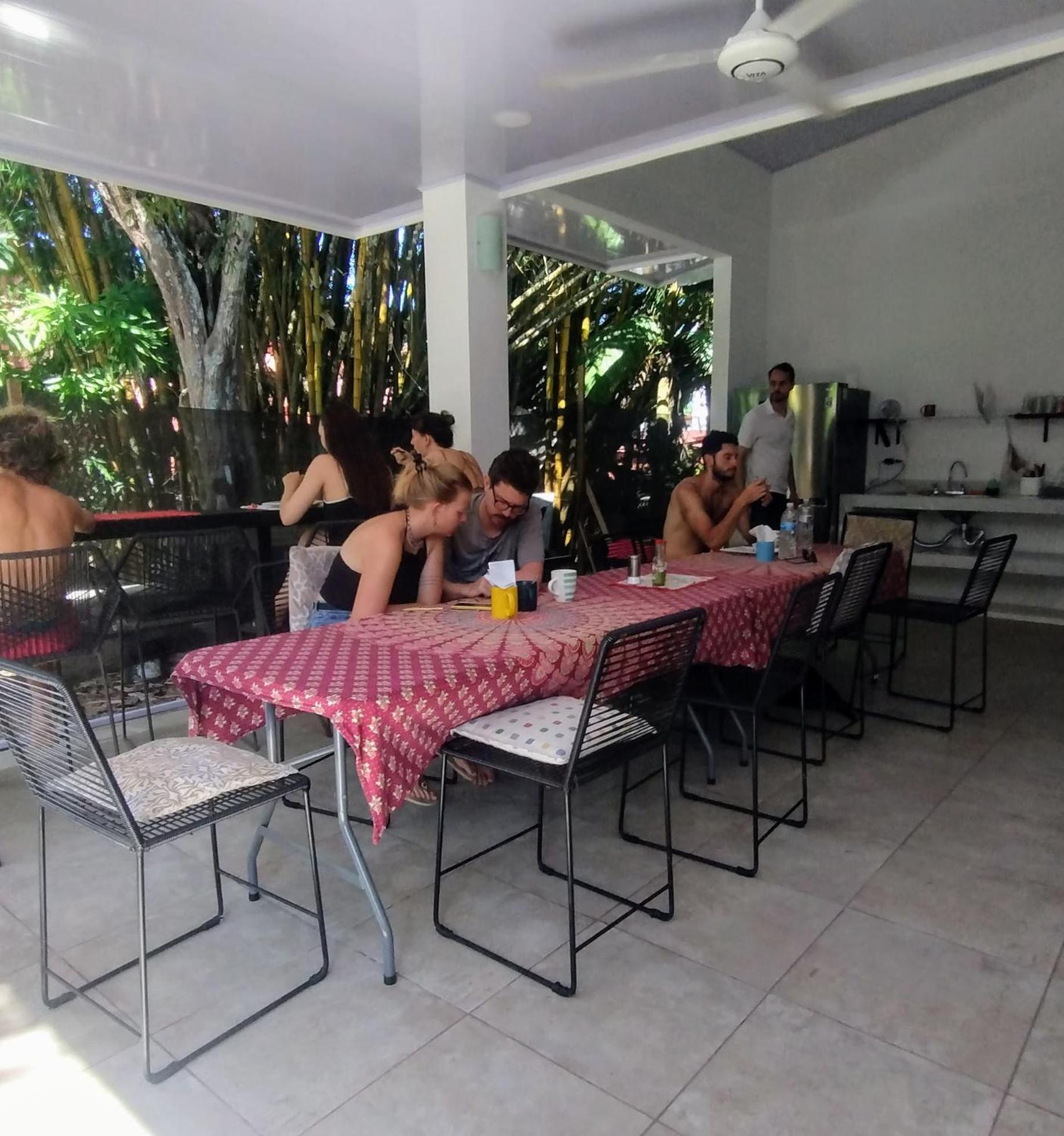 Casajungla