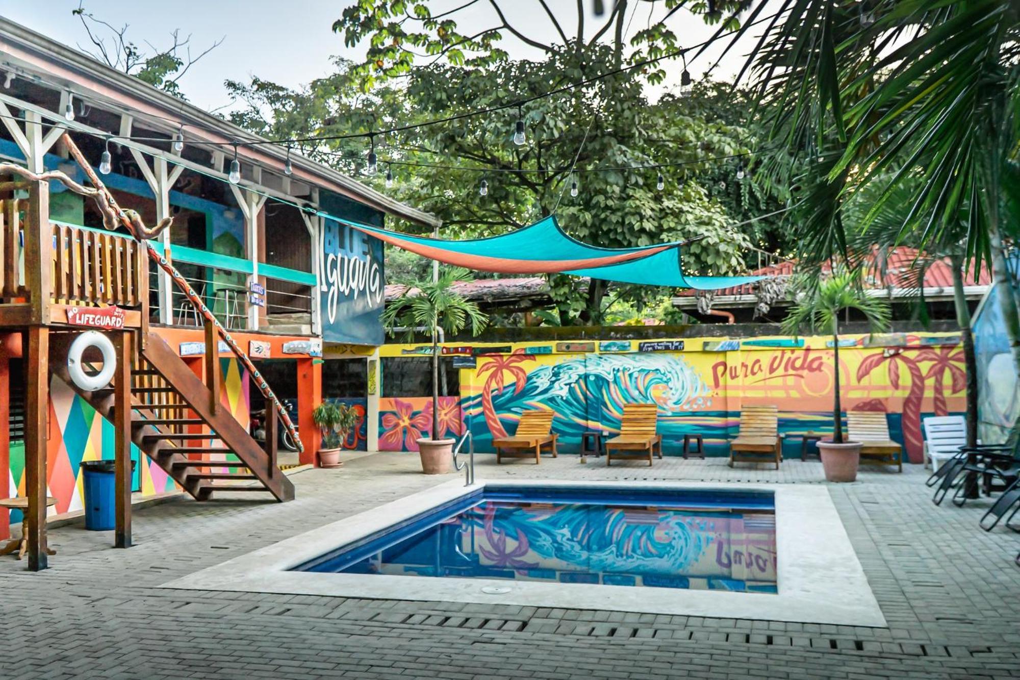 Hotel Blue Iguana