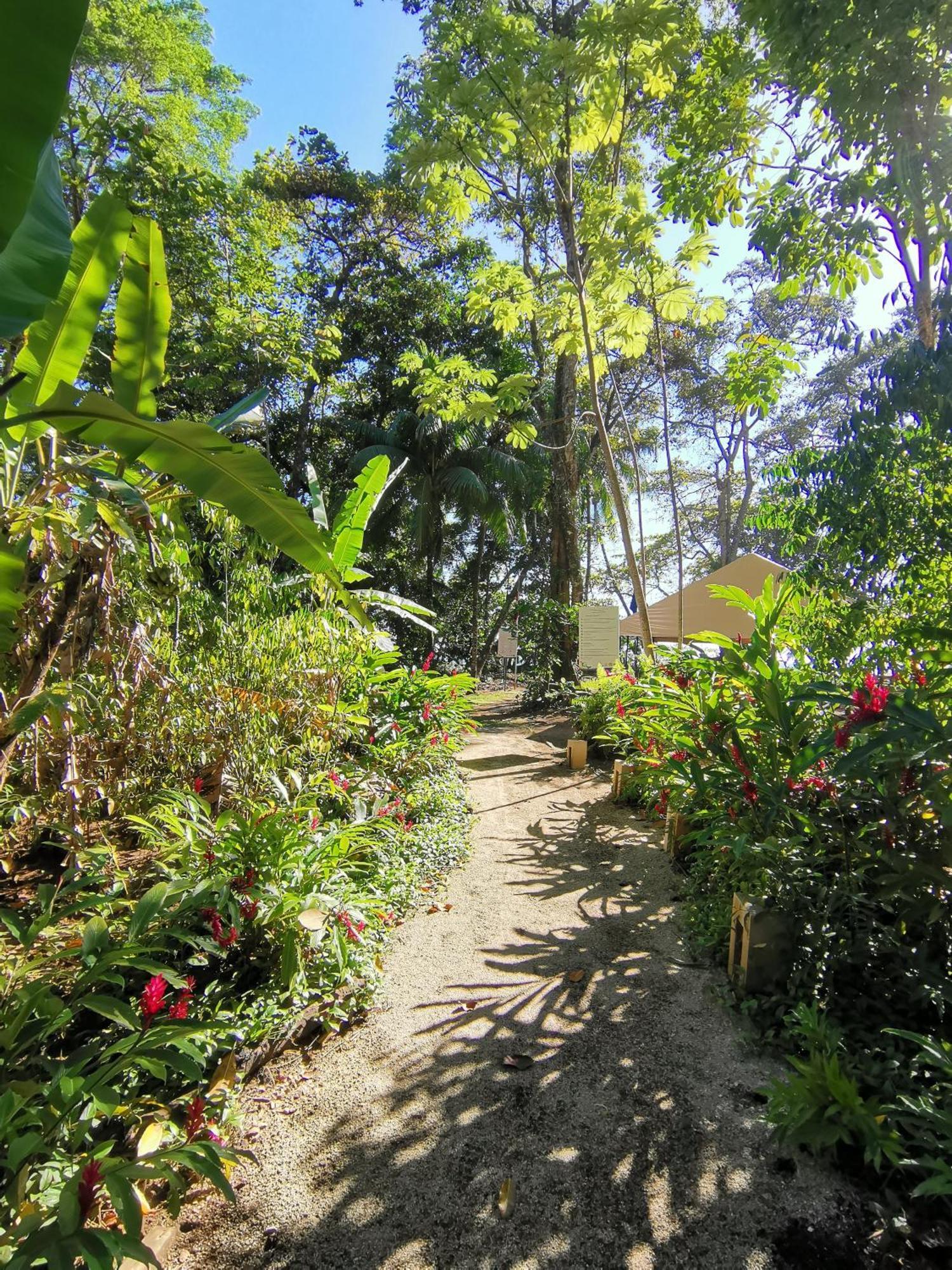 Hotel Elan At Ballena
