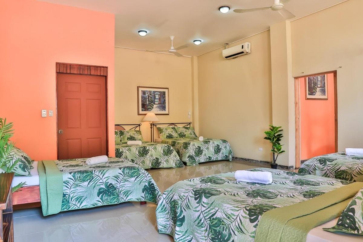 Pacifico Loft 2*
