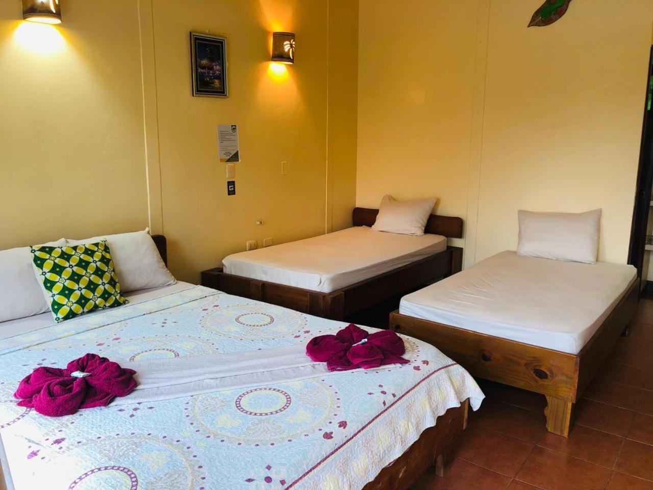 Cocodrilo Bed & Breakfast Sierpe