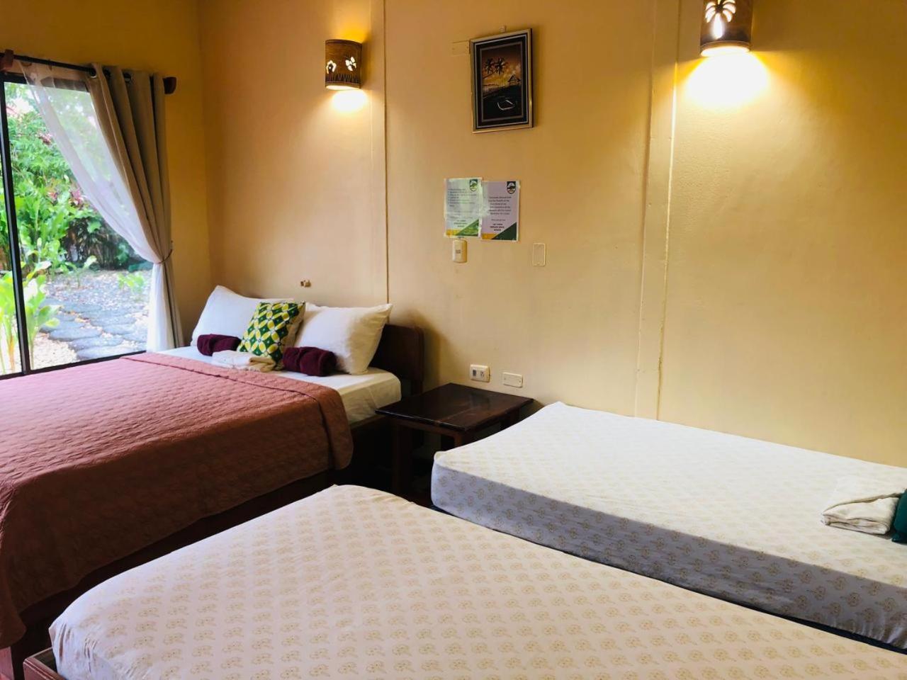 Bed & Breakfast Cocodrilo