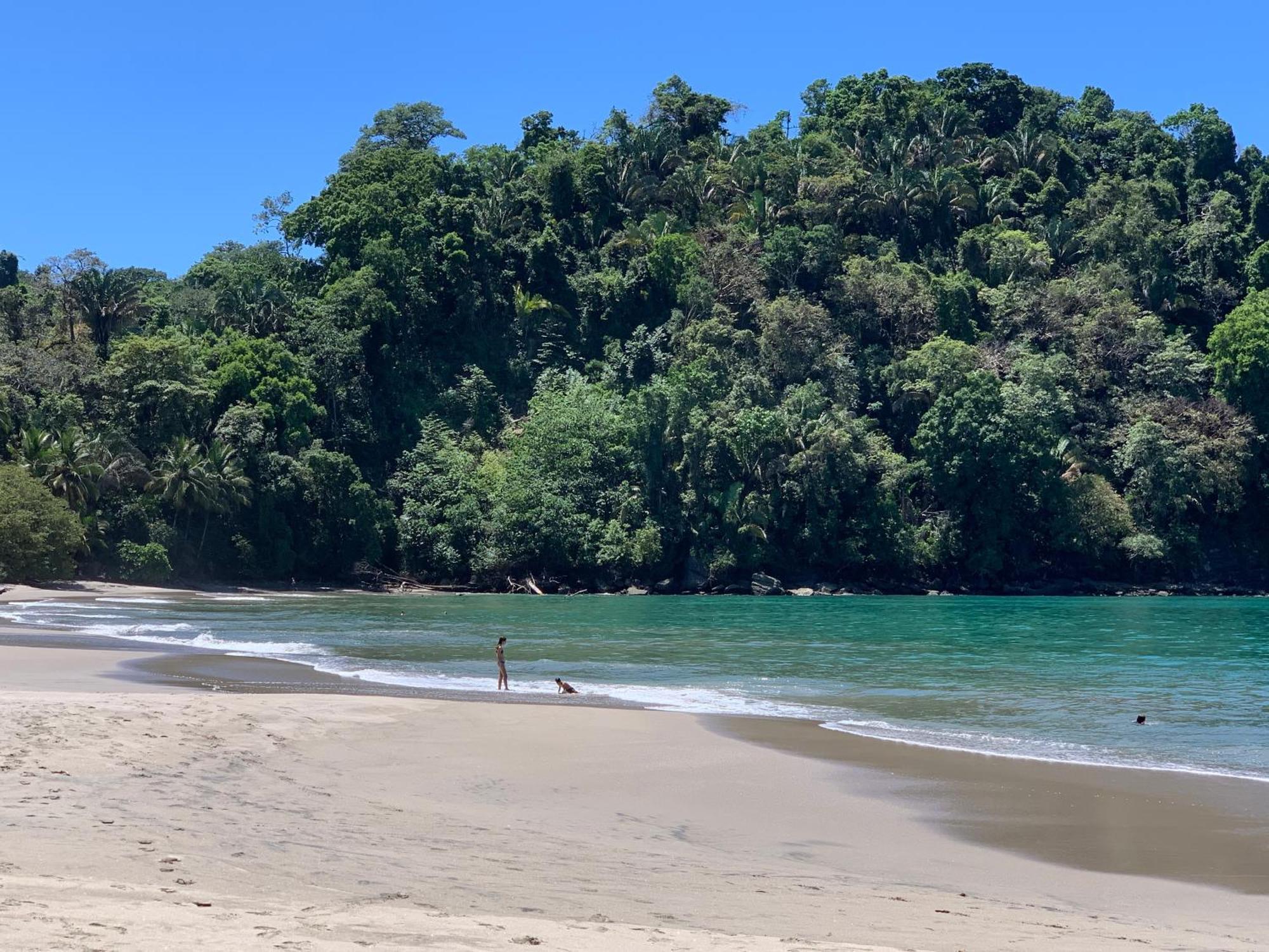 Hotel Playa Espadilla & Gardens Manuel Antonio