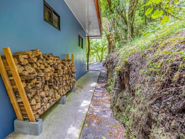 Cantos Del Bosque Apartment
