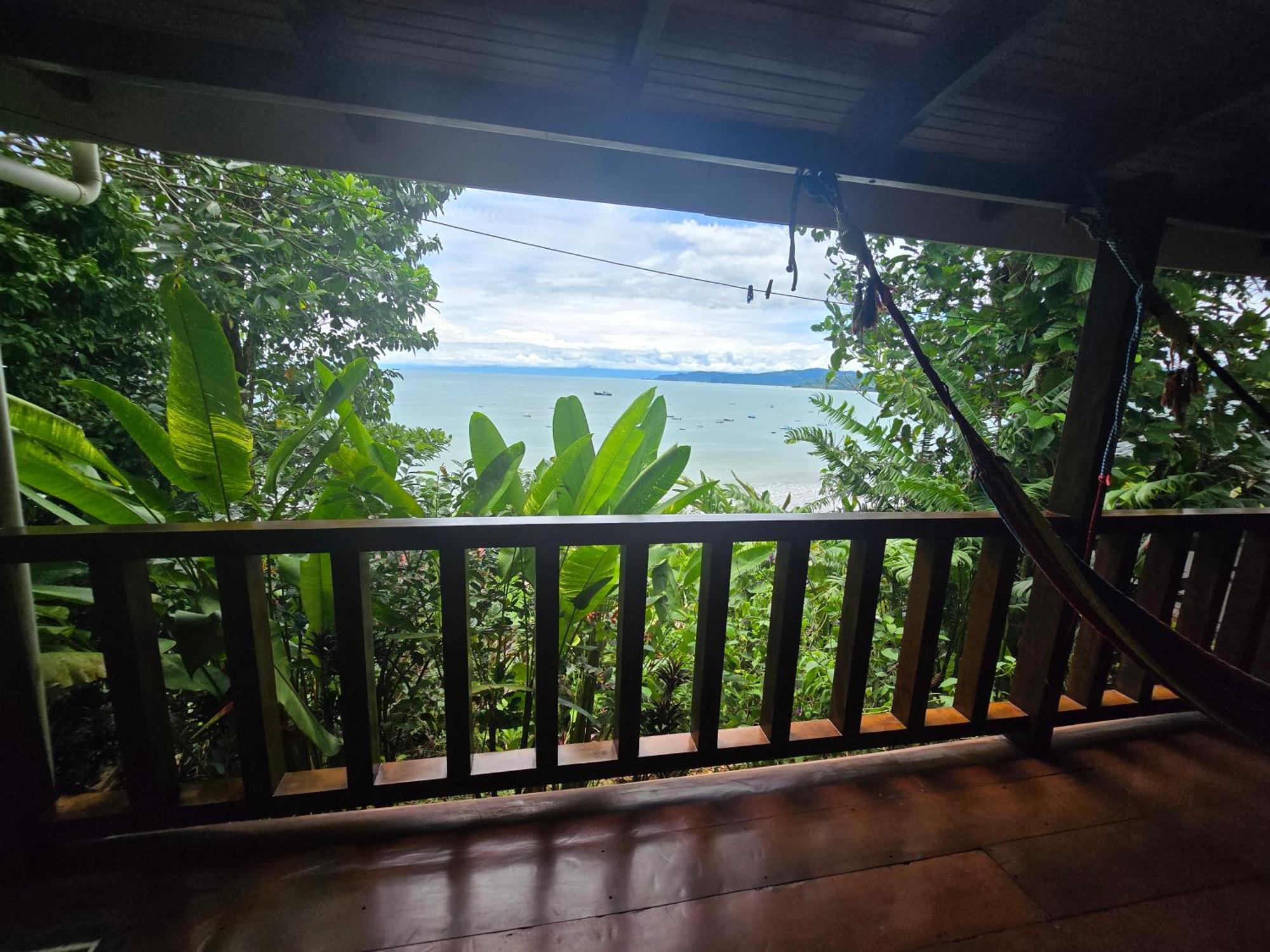 Cotingas Ocean View Drake Bay