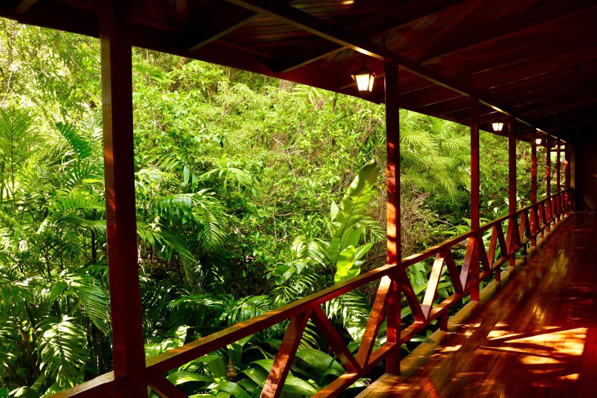 Jaguarundi Jungle - Hotel 3*