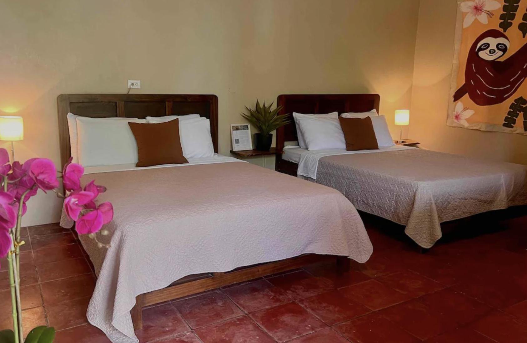 Mizaru Ocean View Manuel Antonio Bed & Breakfast *