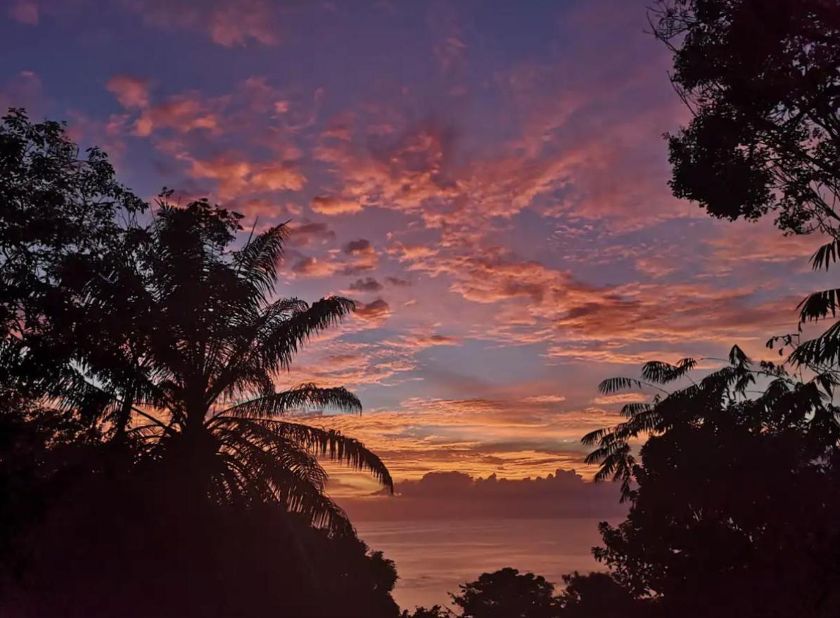 Mizaru Ocean View Manuel Antonio