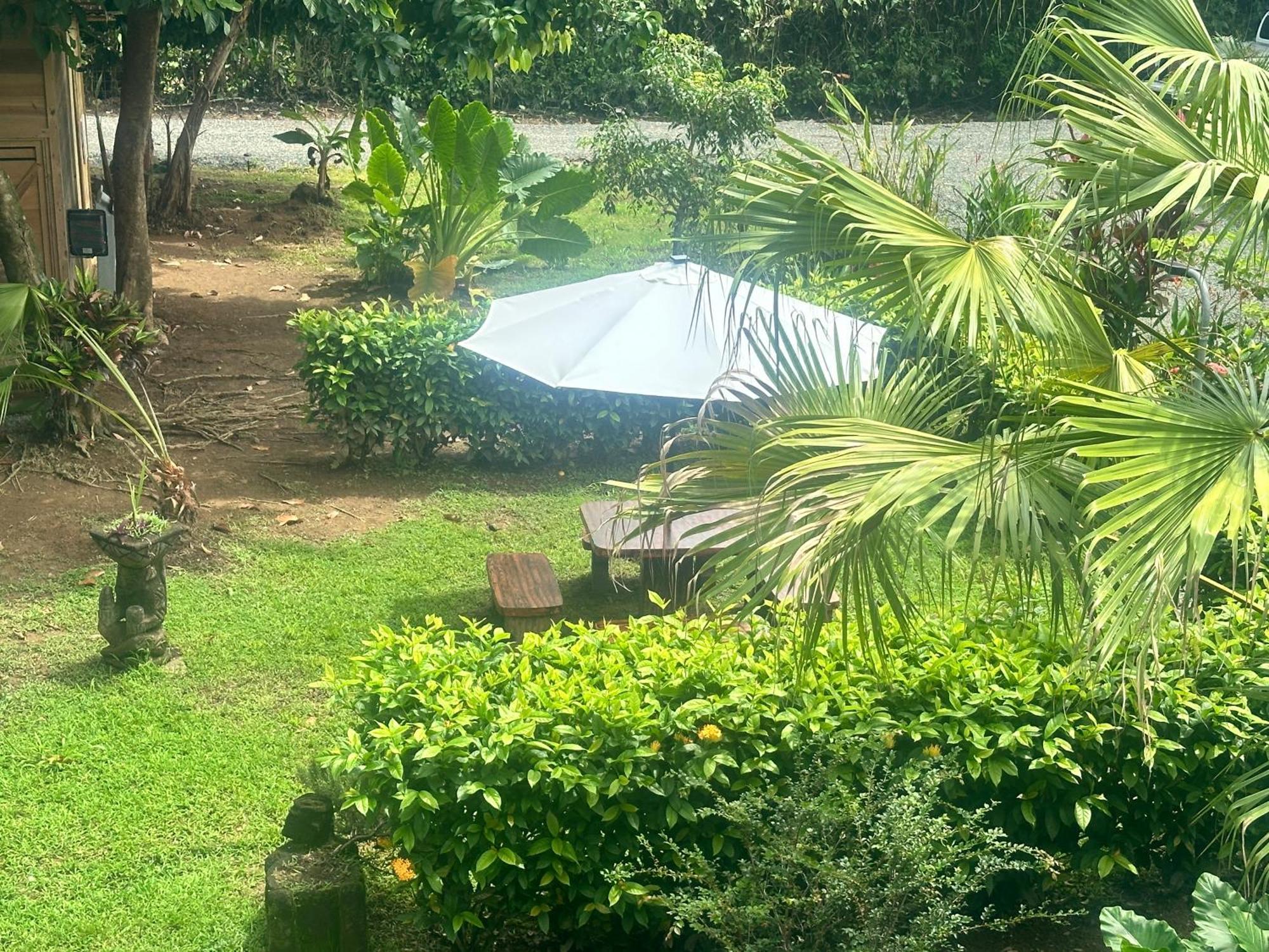 Oasis Retreat With And Holiday home Uvita