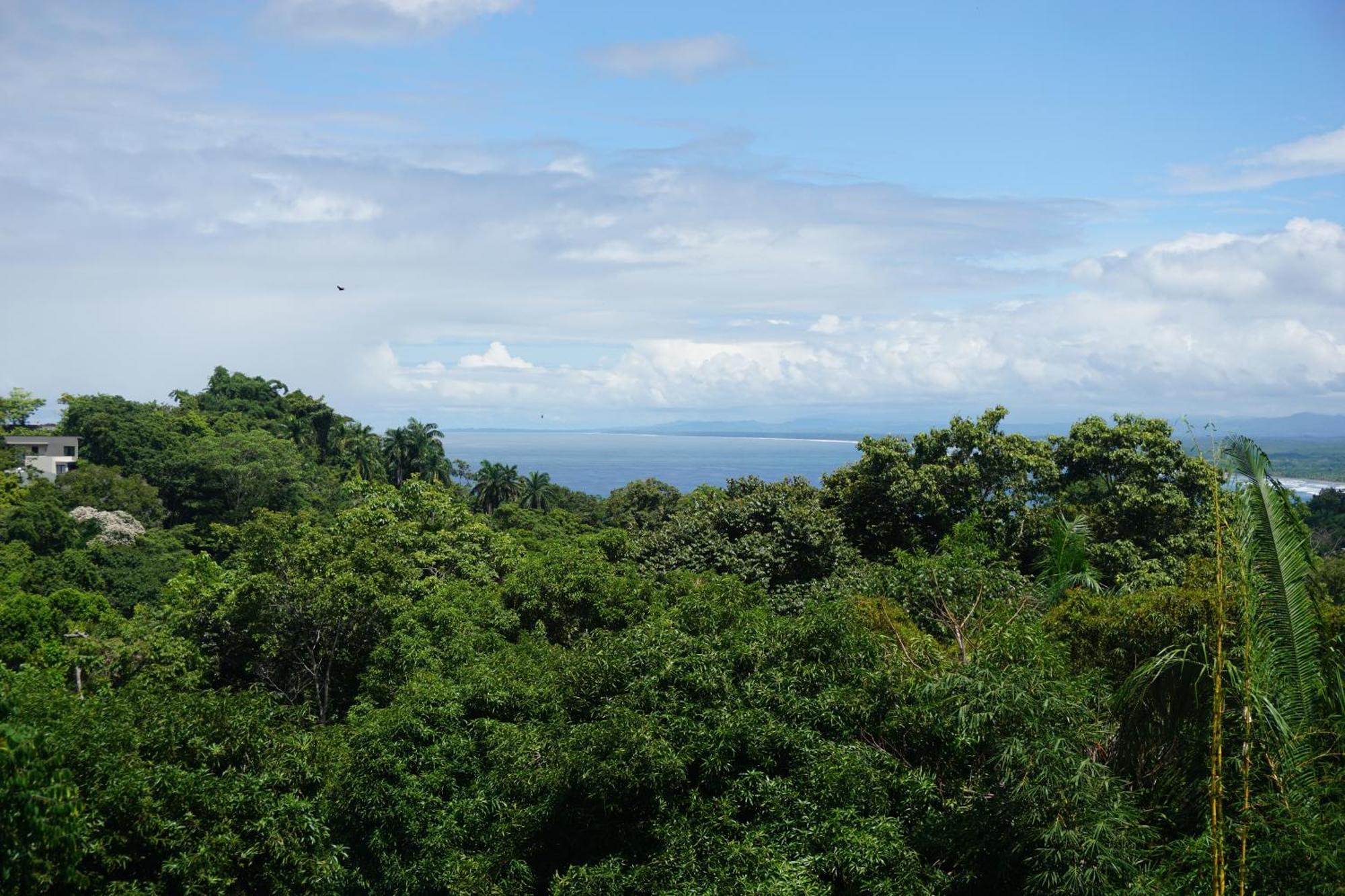 Hotel Planeta Sano Manuel Antonio