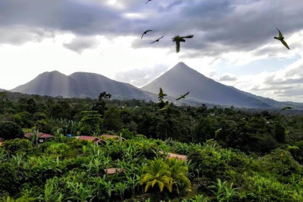 Volcano View Oasis Arenal Villa *
