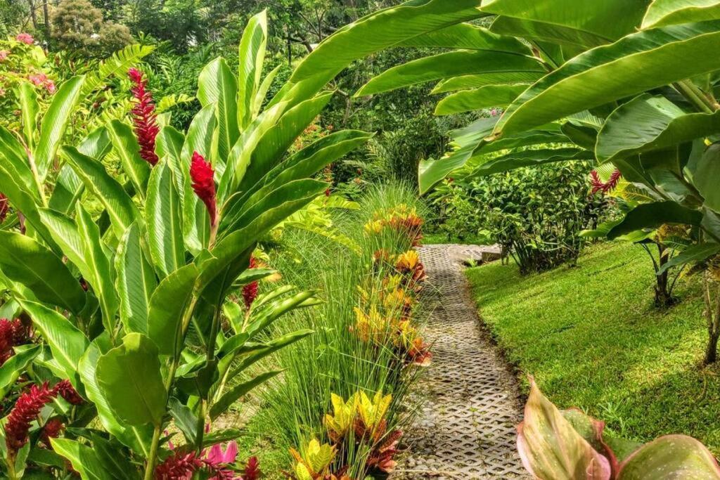 Volcano View Oasis Arenal Villa