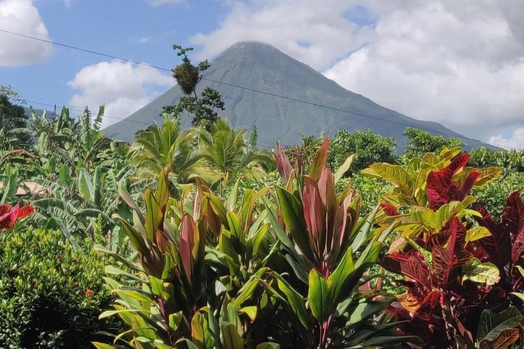 Villa Volcano View Oasis Arenal