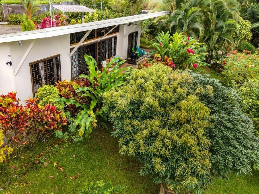 Volcano View Oasis Arenal Villa *