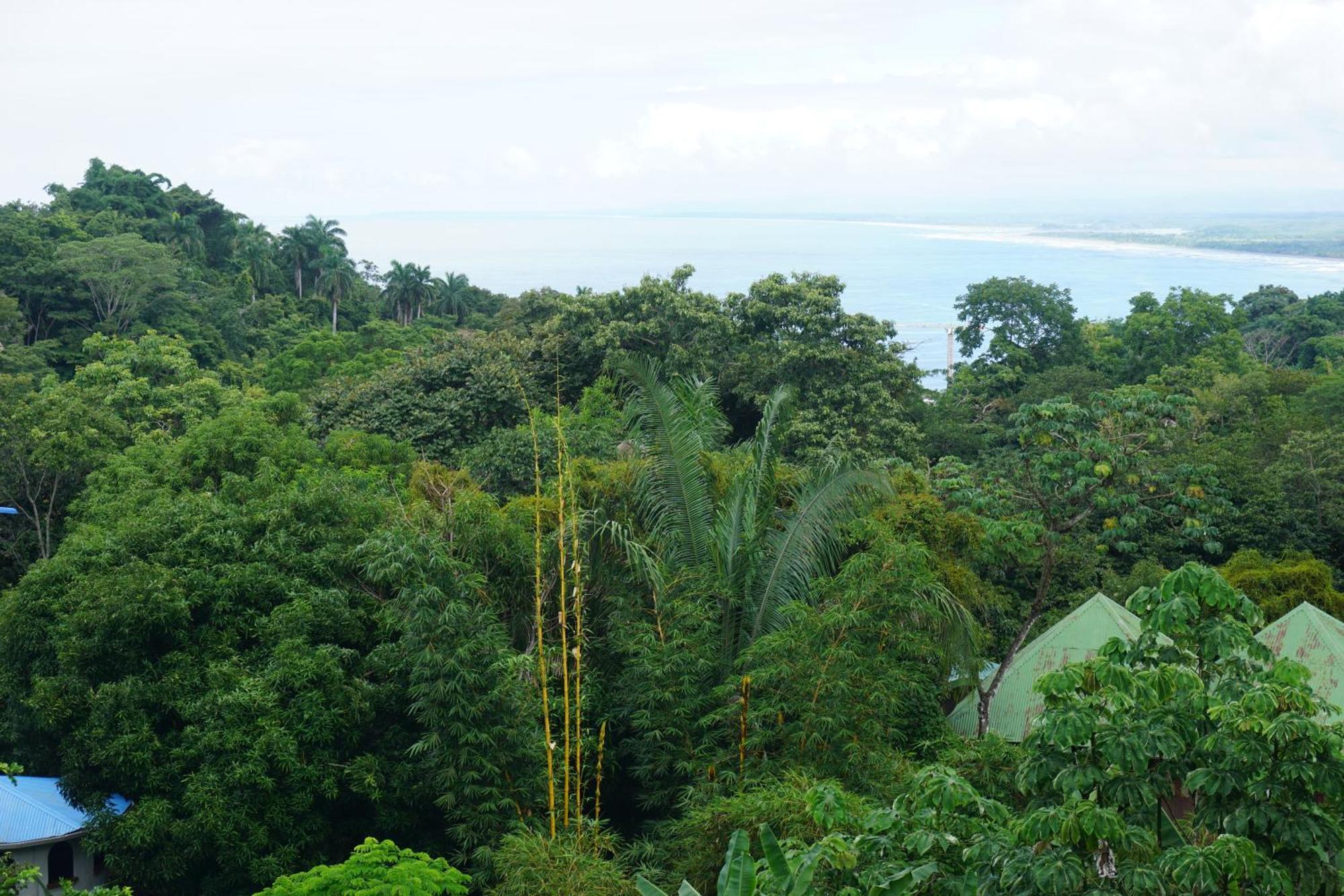 Planeta Sano Manuel Antonio