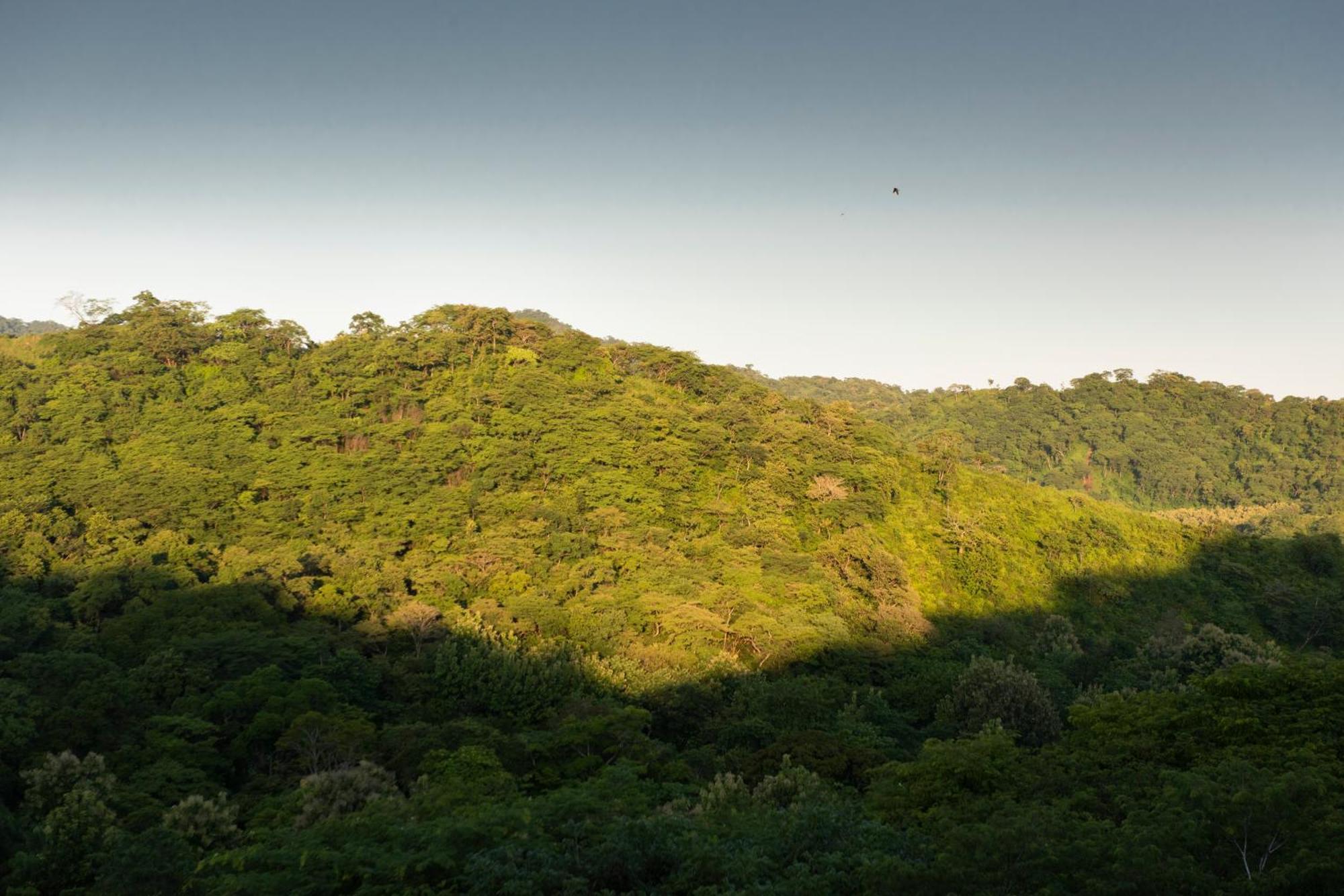 Suitree Experience 4* Sardinal (Guanacaste)
