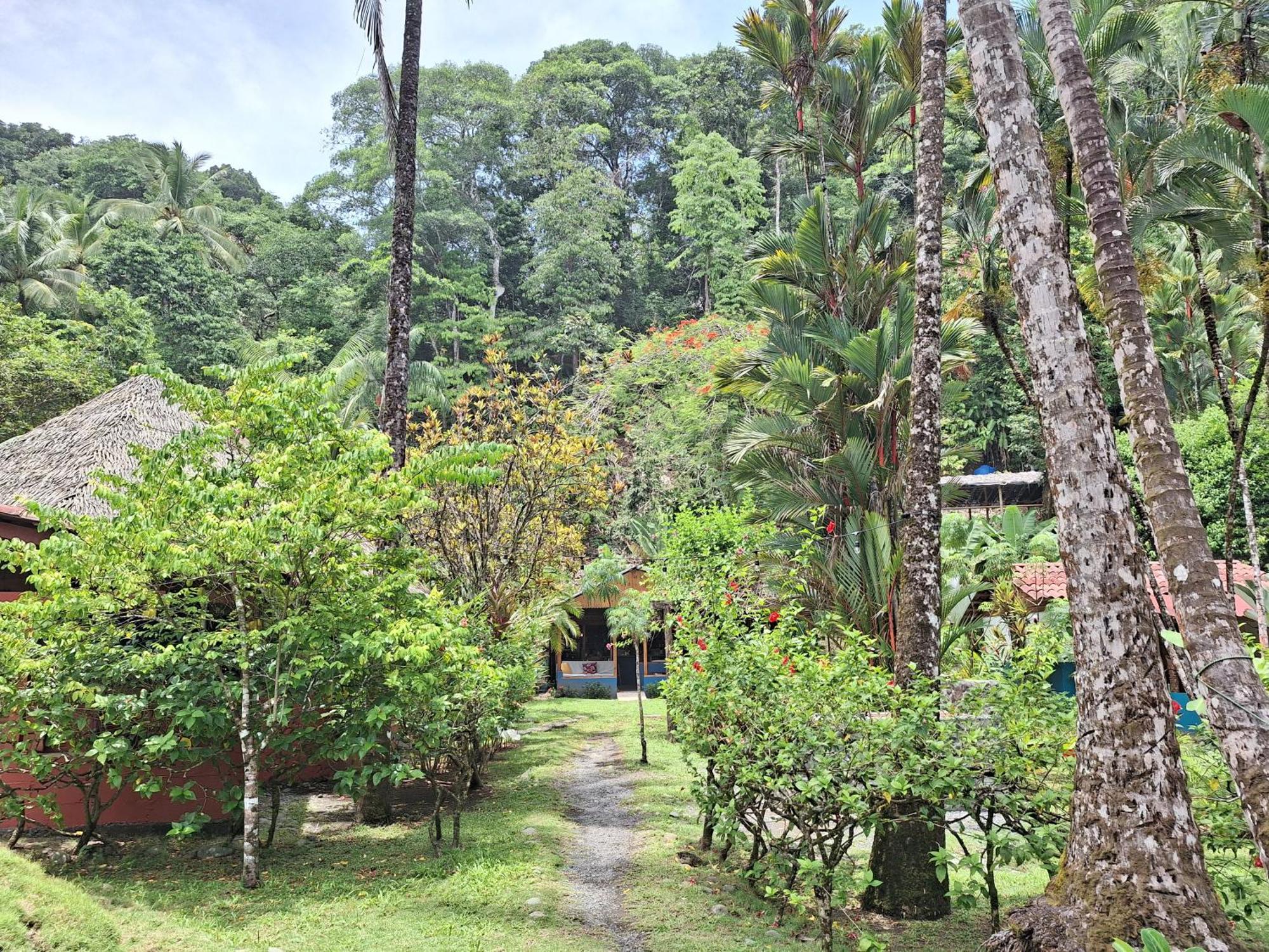 Rancho Burica Pavones (Puntarenas)
