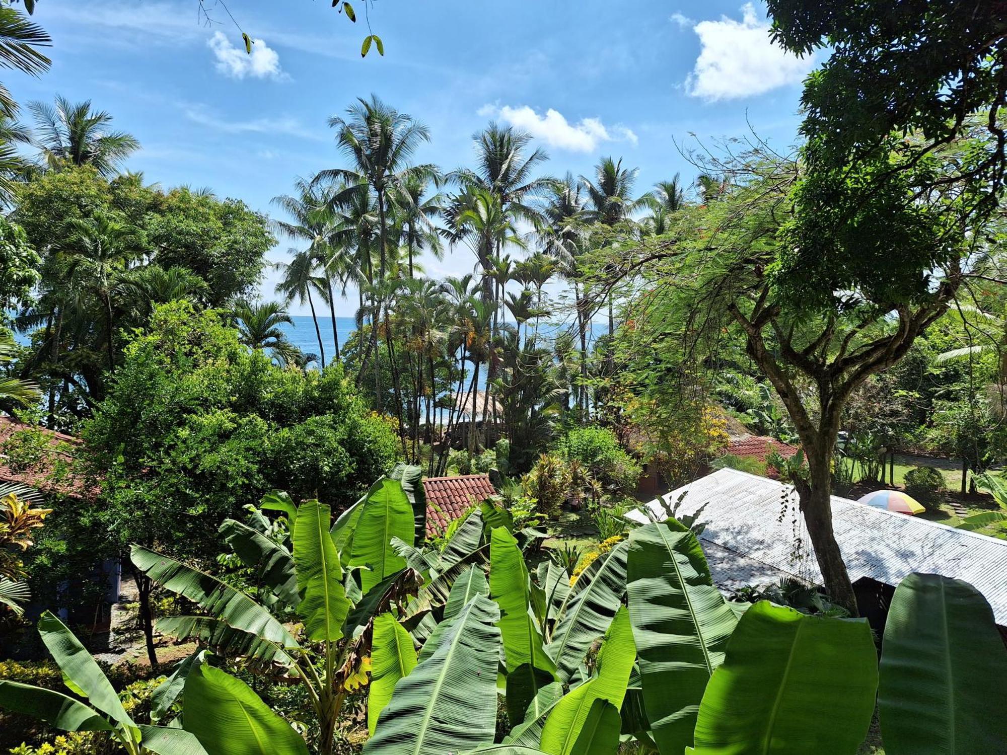 Rancho Burica * Pavones (Puntarenas)