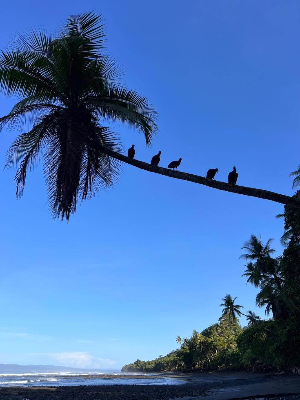Rancho Burica Resort Pavones (Puntarenas)